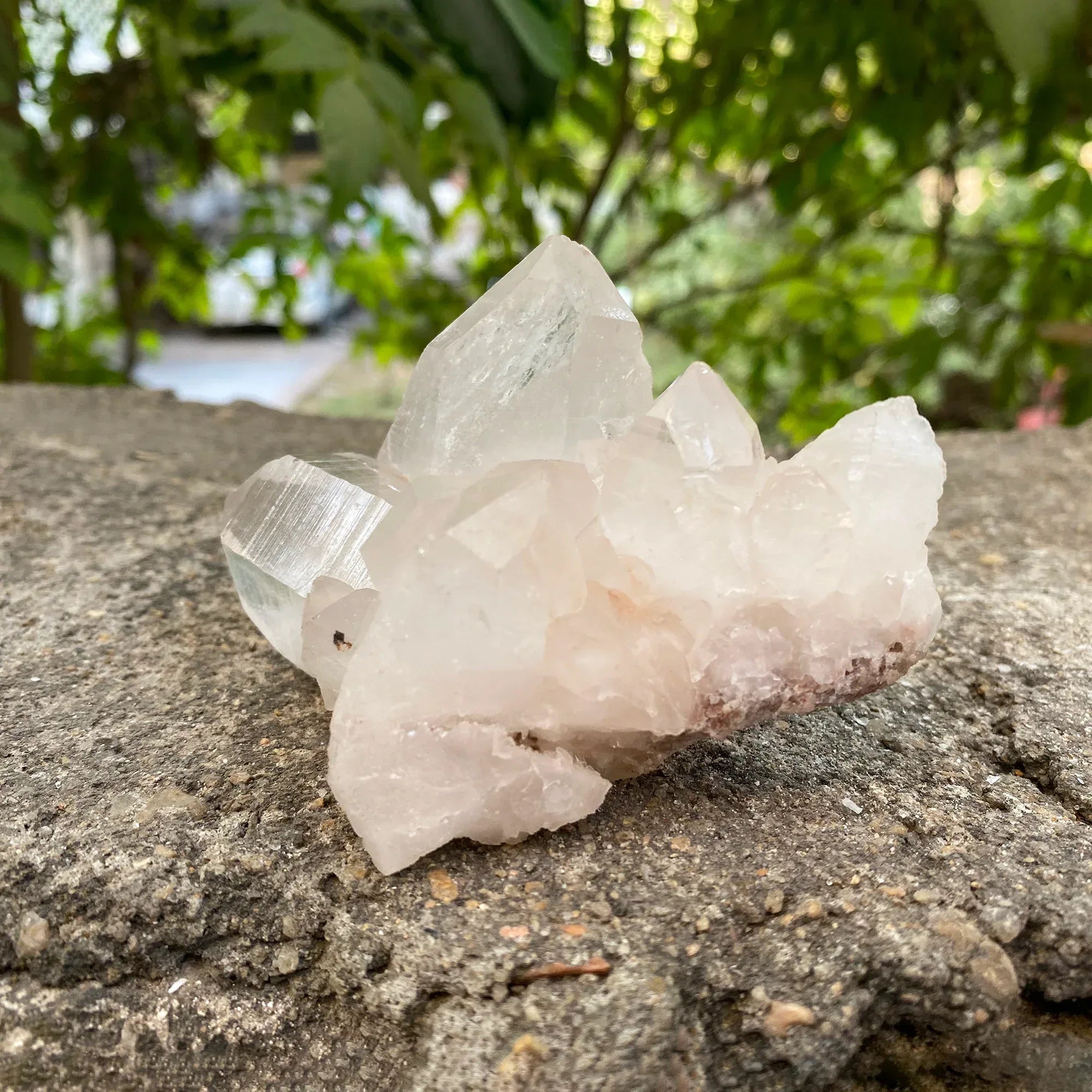 Natural Himalayan White Quartz Cluster 265g Healing Crystal Himalayan Quartz