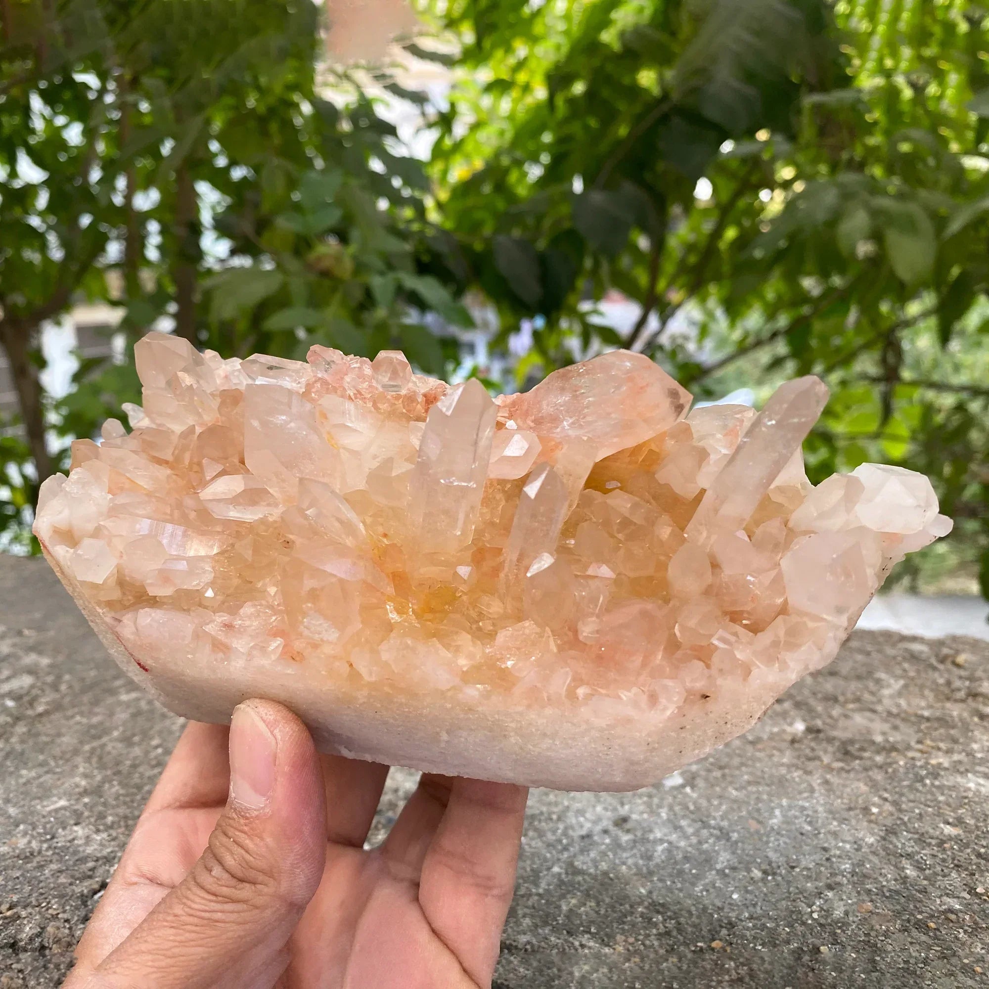 Natural Himalayan Pink Quartz Cluster 910g Healing Crystal Himalayan Quartz
