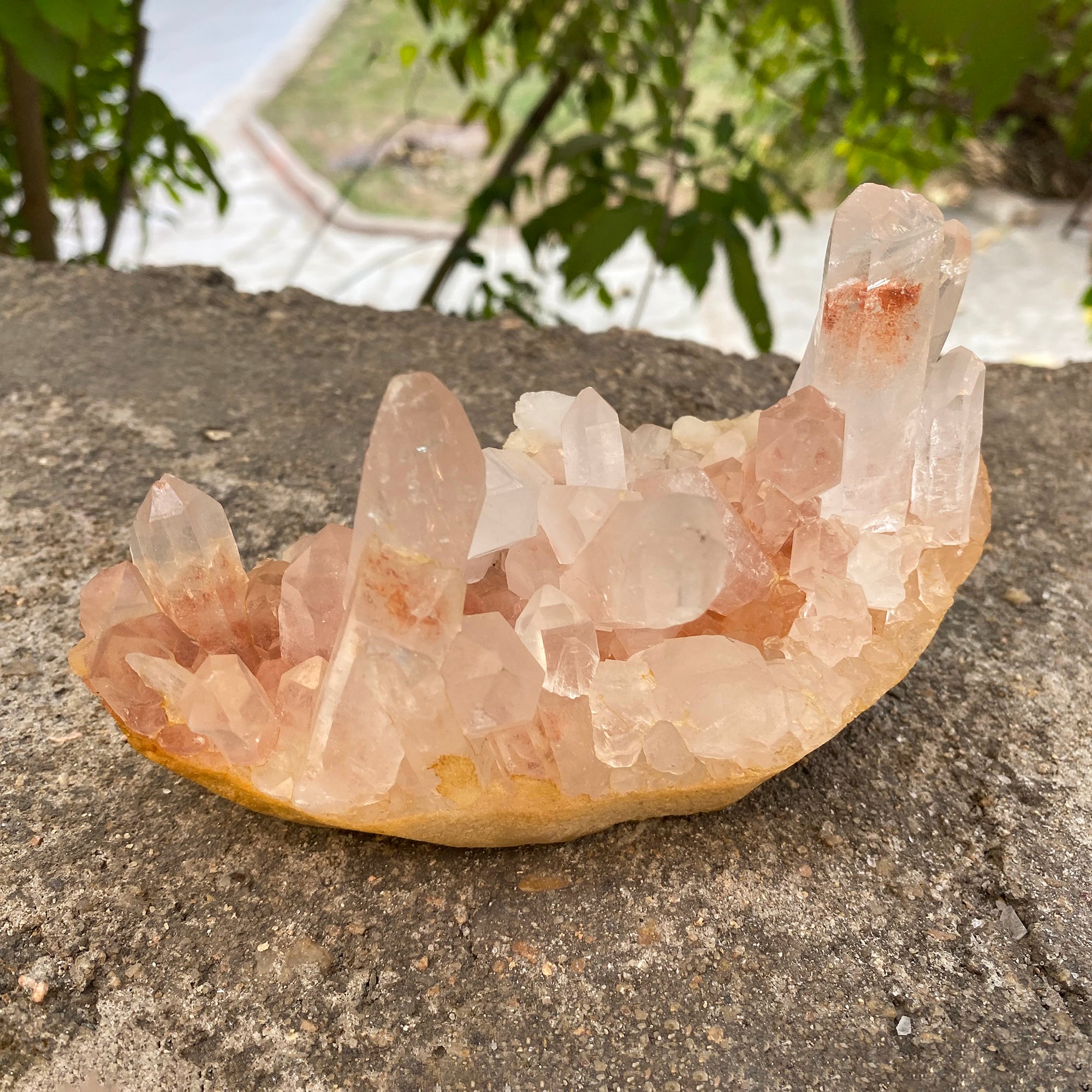Natural Himalayan Pink Quartz Cluster 675g Healing Crystal PNQ-1009