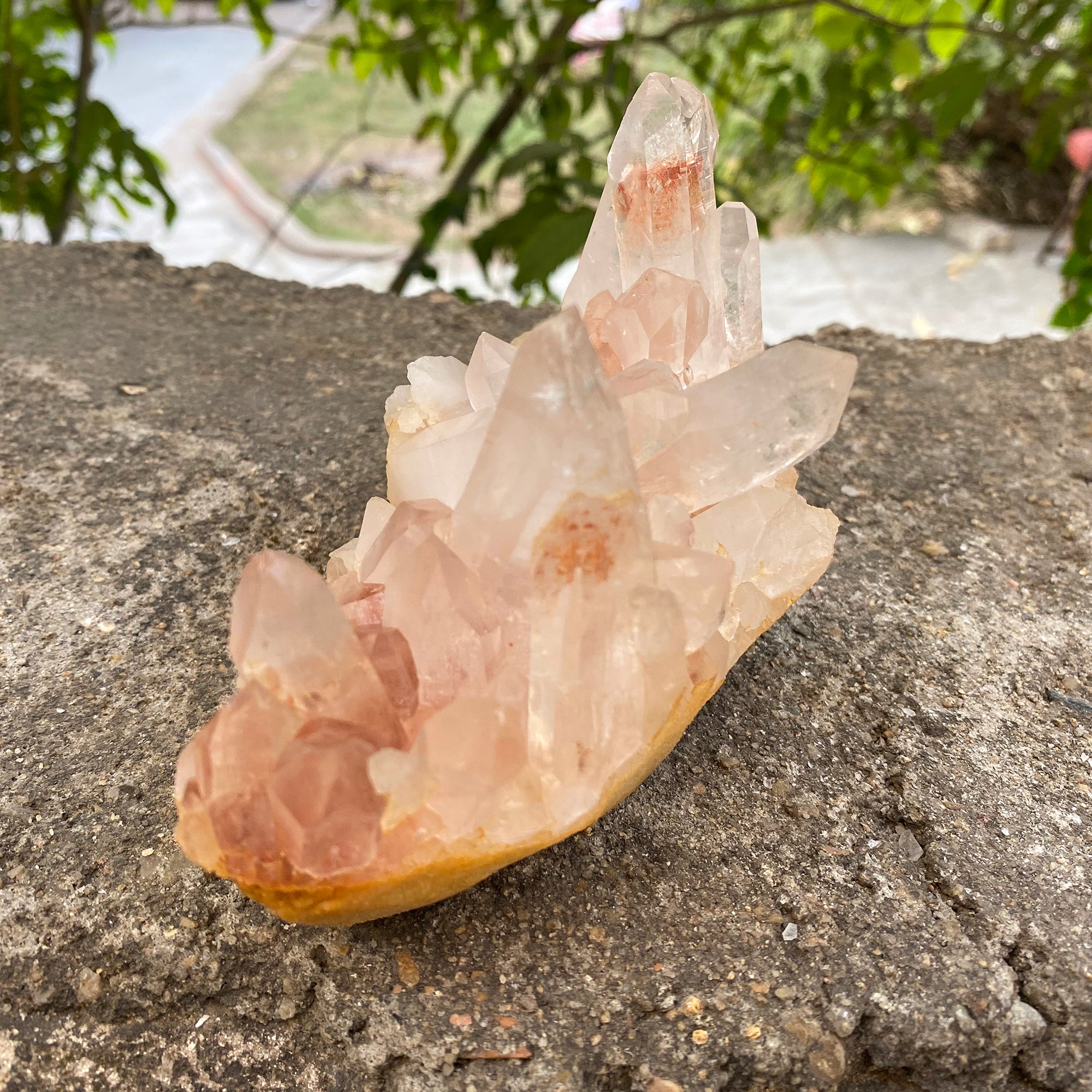 Natural Himalayan Pink Quartz Cluster 675g Healing Crystal PNQ-1009