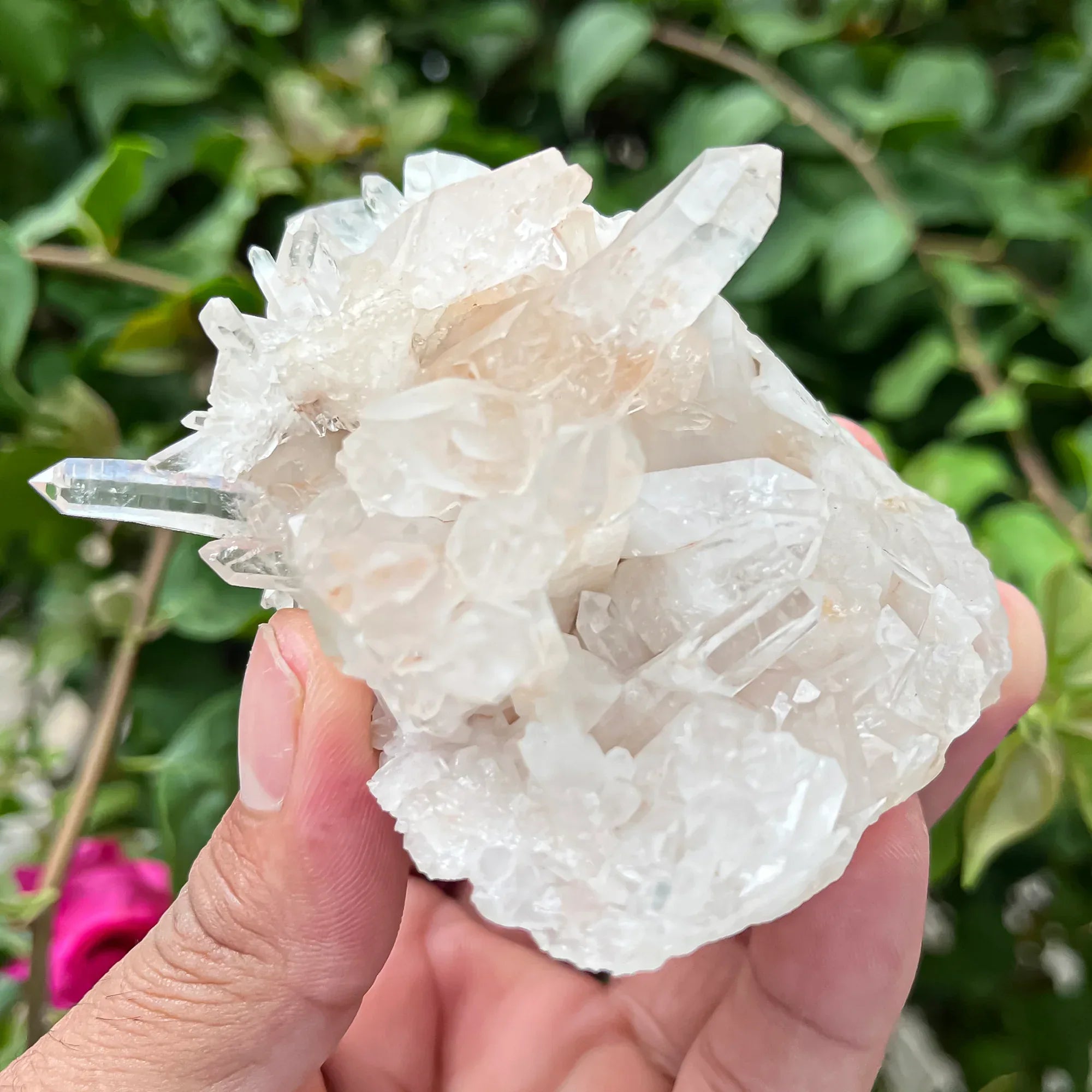 Natural Himalayan White Quartz Cluster 205g Himalayan Quartz