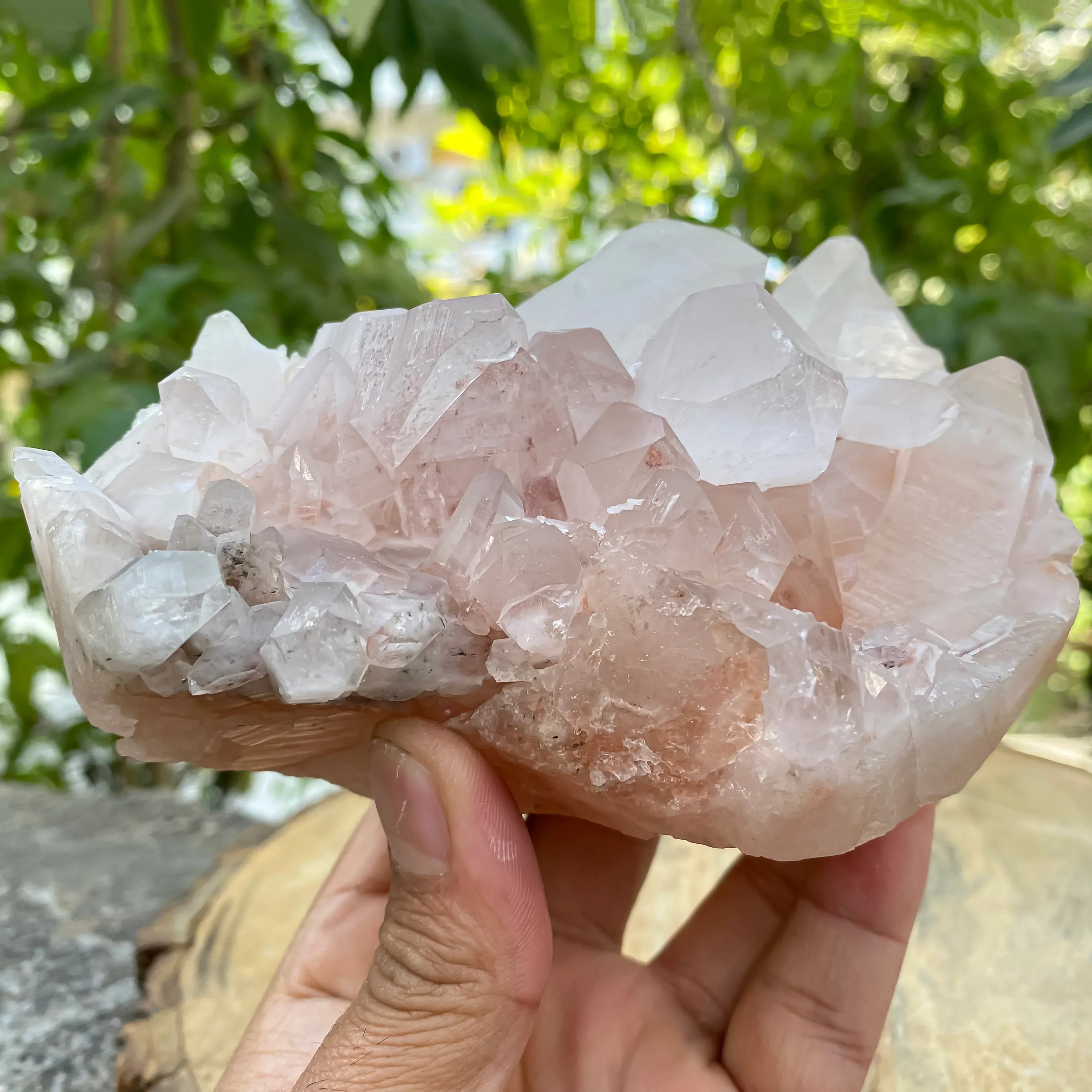 Natural Himalayan Pink Quartz Cluster 1090g Himalayan Quartz