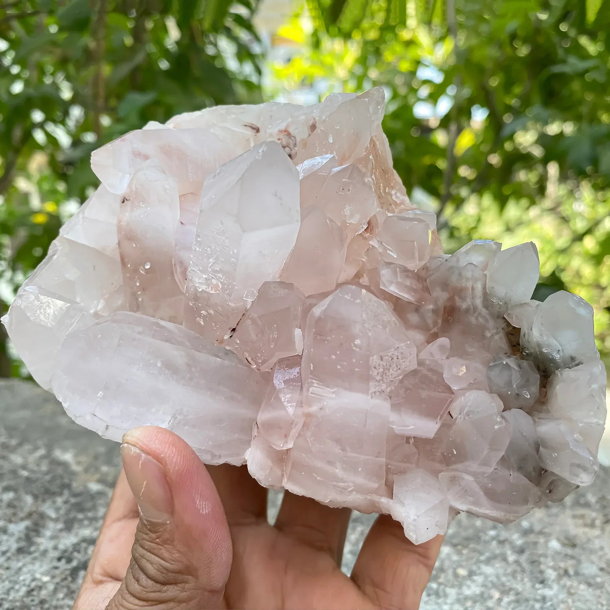 Natural Himalayan Pink Quartz Cluster 1090g Himalayan Quartz