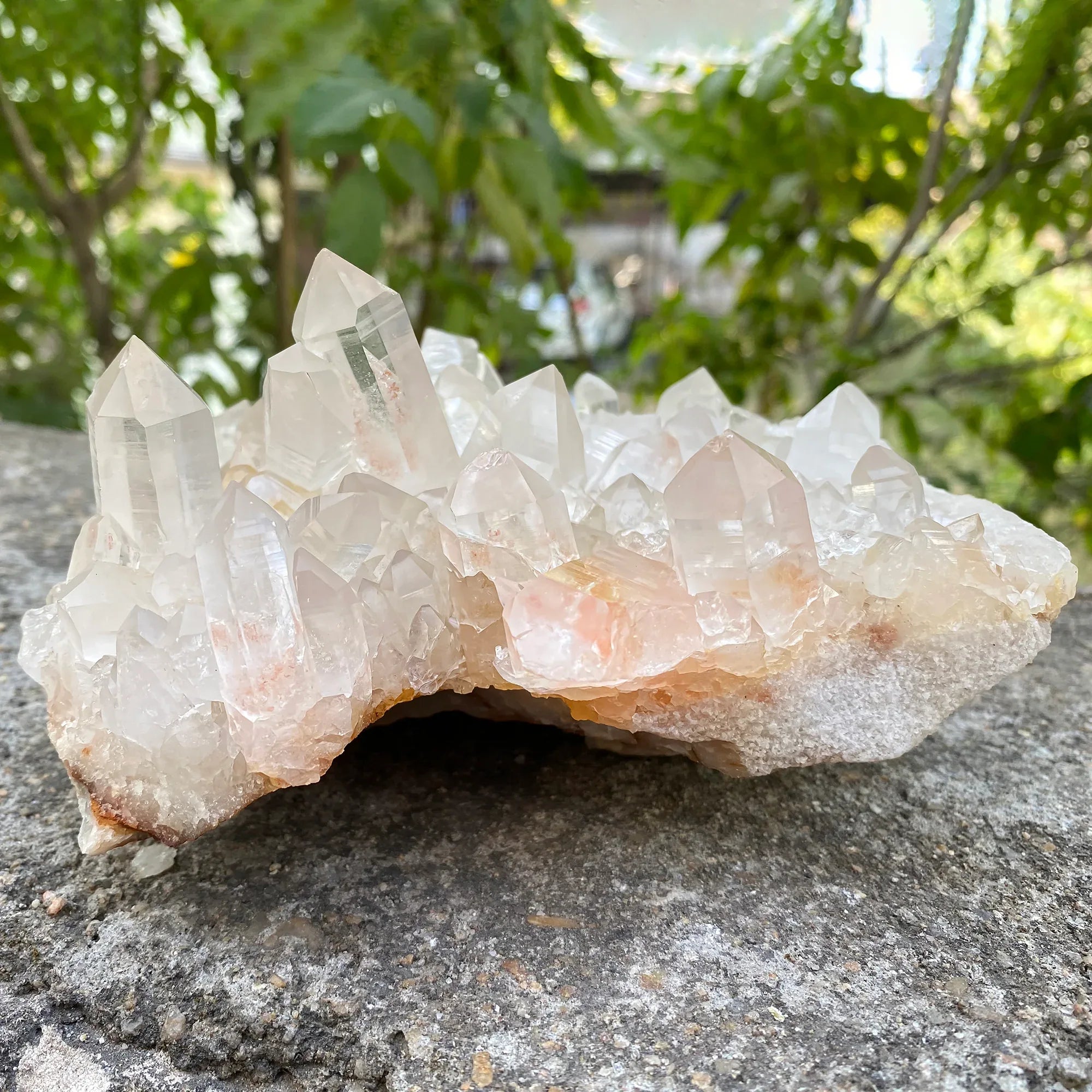 Natural Himalayan Pink Quartz Cluster 1500g – PNQ-1057 - Himalya Quartz