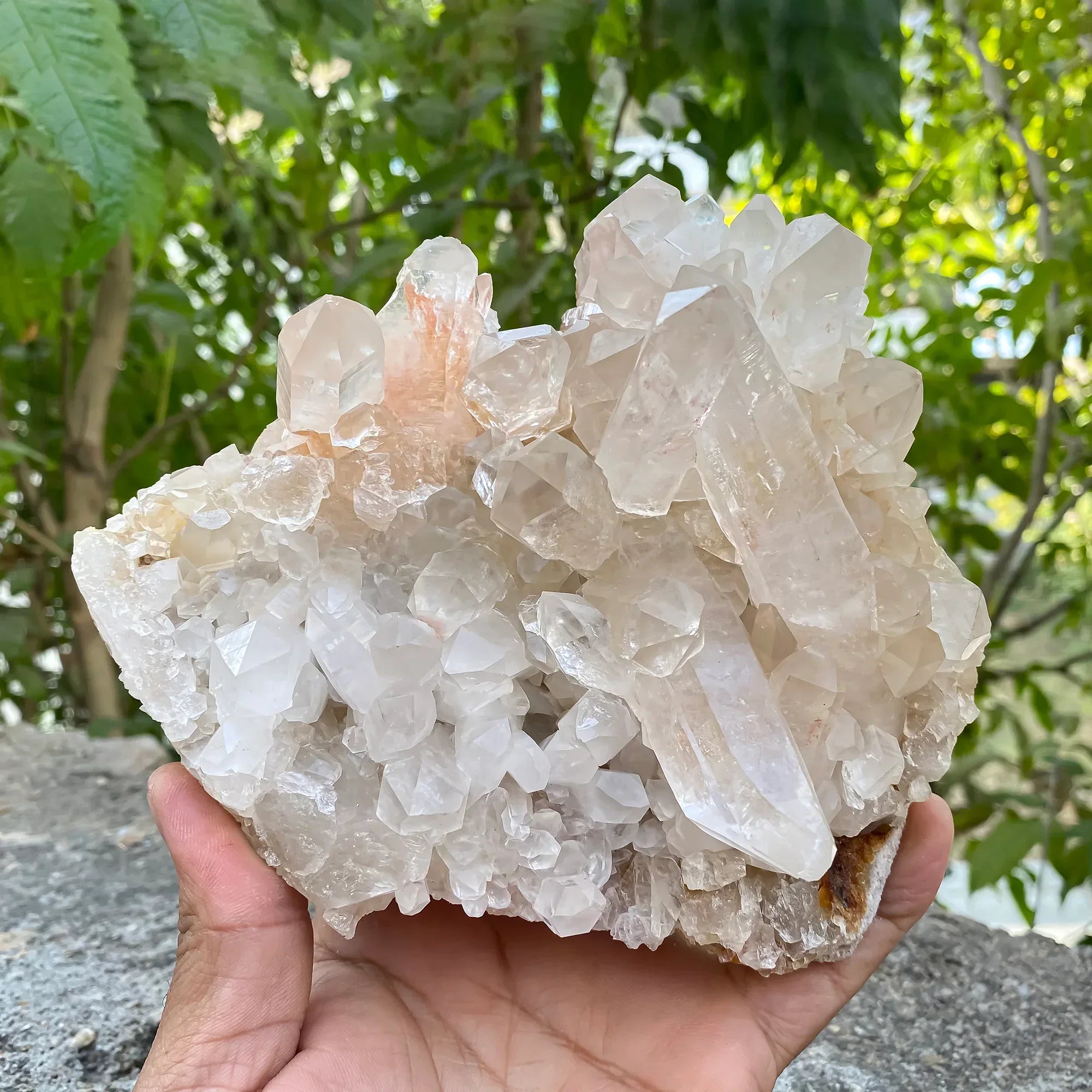 Natural Himalayan Pink Quartz Cluster 1500g Himalayan Quartz