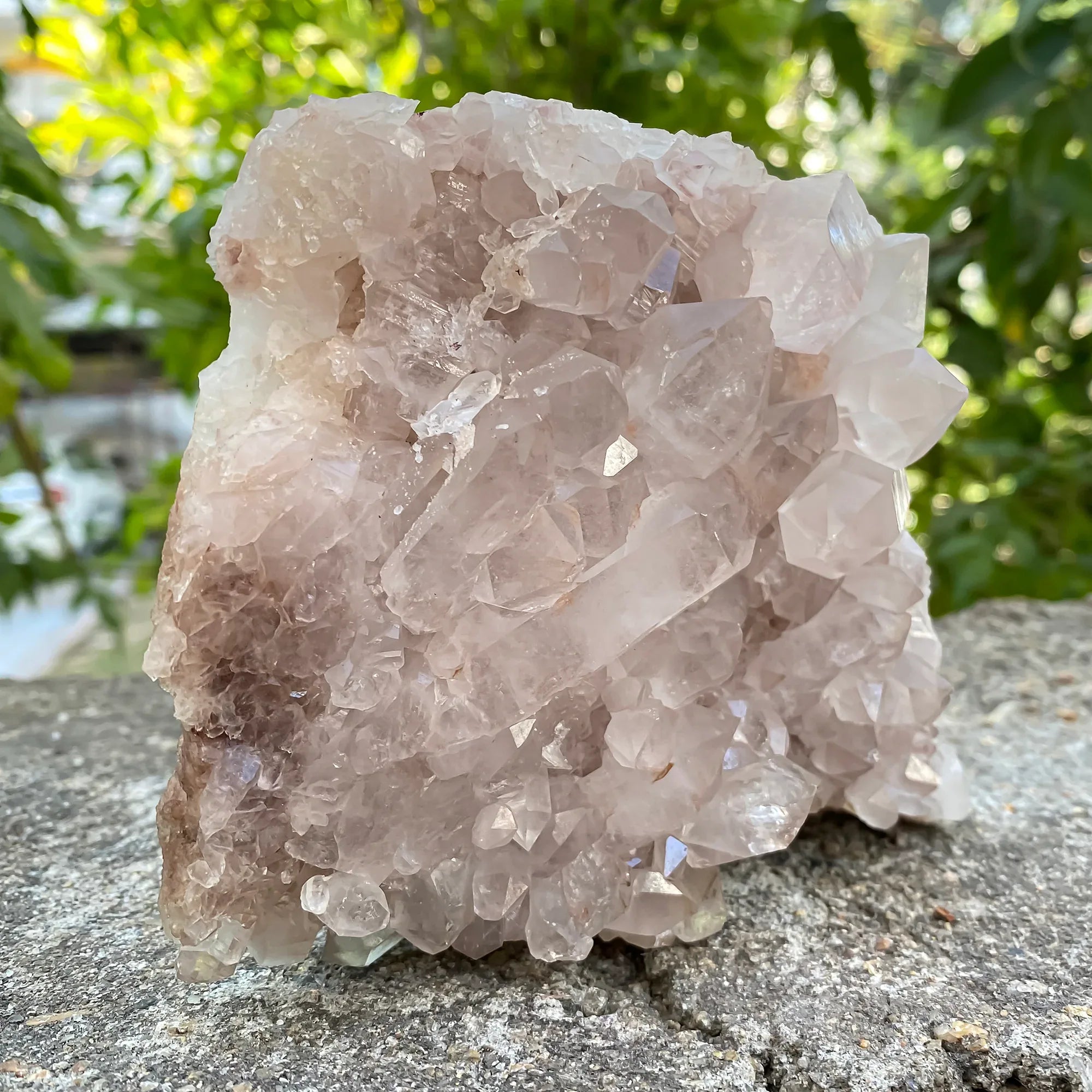 Natural Himalayan Pink Quartz Cluster 730g – PNQ-1062 - Himalya Quartz