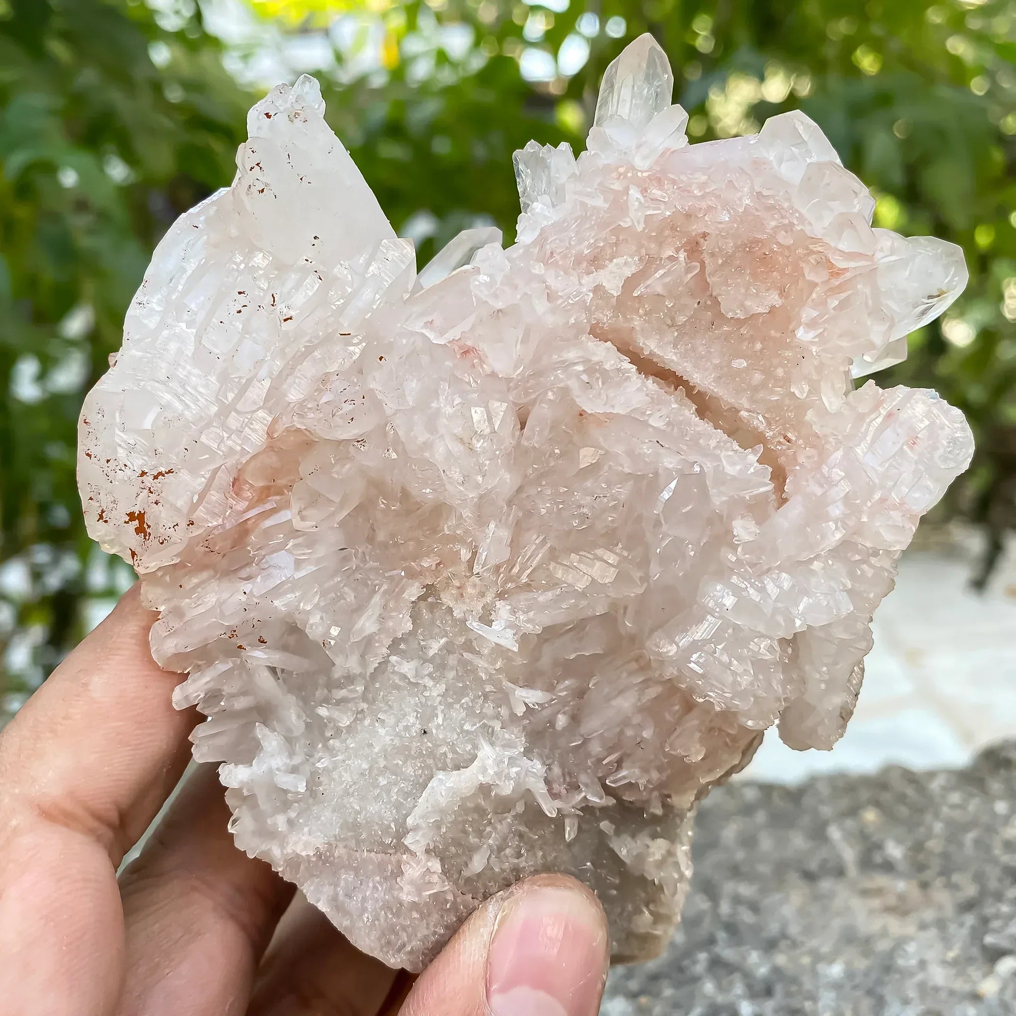 Natural Himalayan Pink Quartz Cluster Himalayan Quartz
