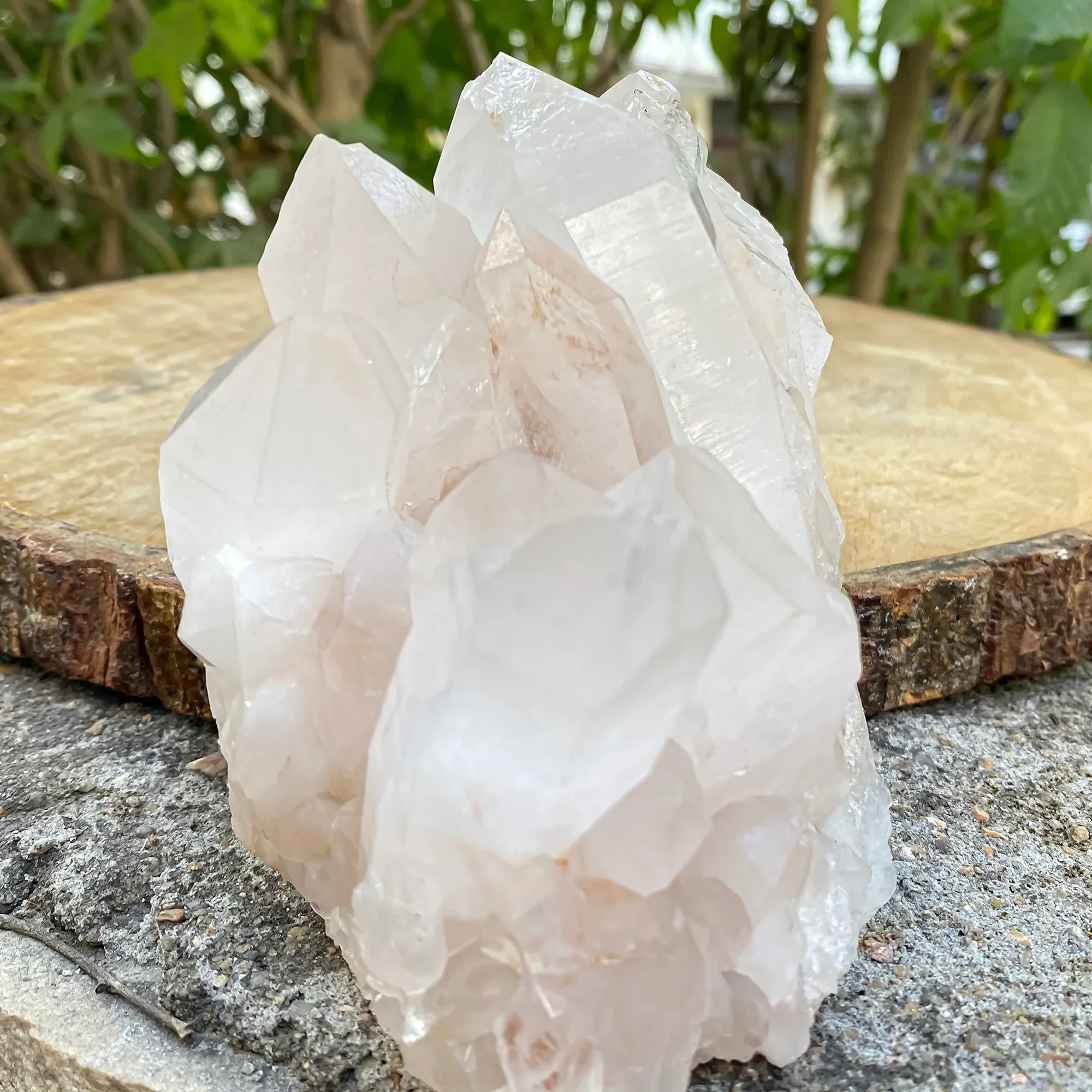 Natural Himalayan Pink Quartz Cluster 790g – PNQ-1067 - Himalya Quartz