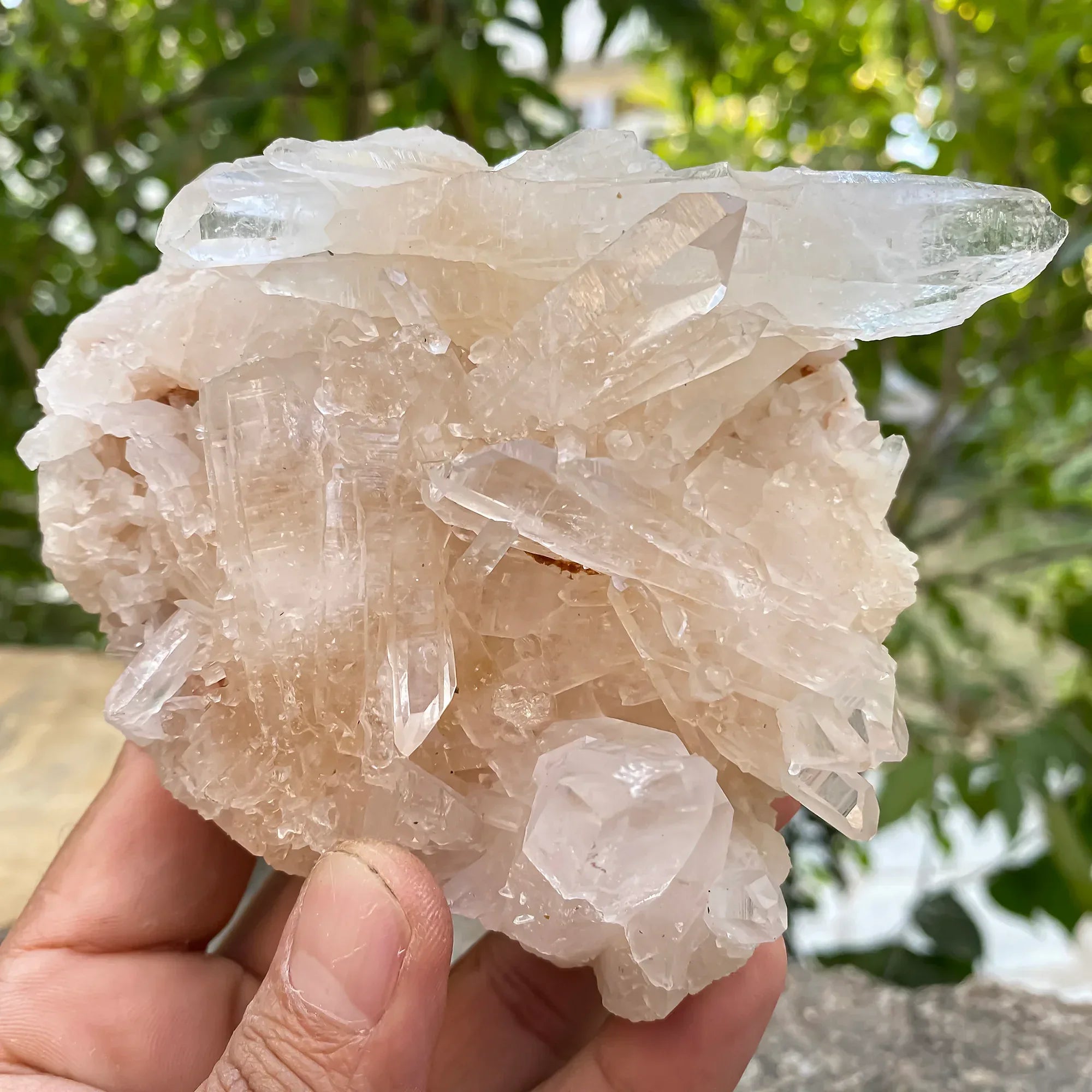 Natural Himalayan Pink Quartz Cluster 540g Himalayan Quartz