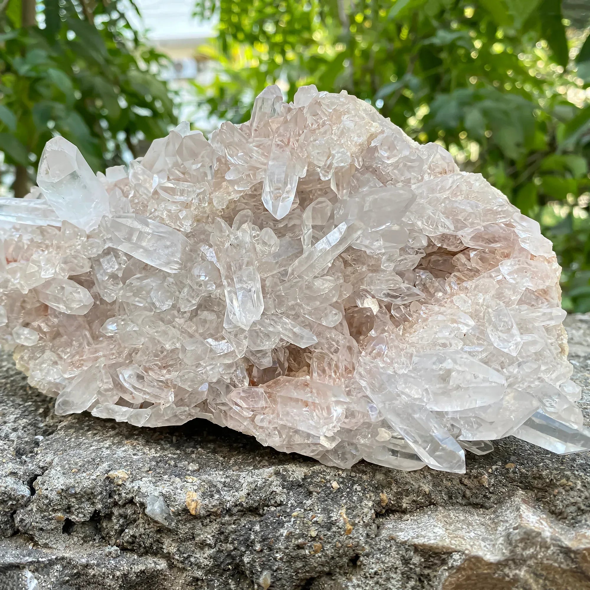 Natural Himalayan Pink Quartz Cluster 1710g Himalayan Quartz