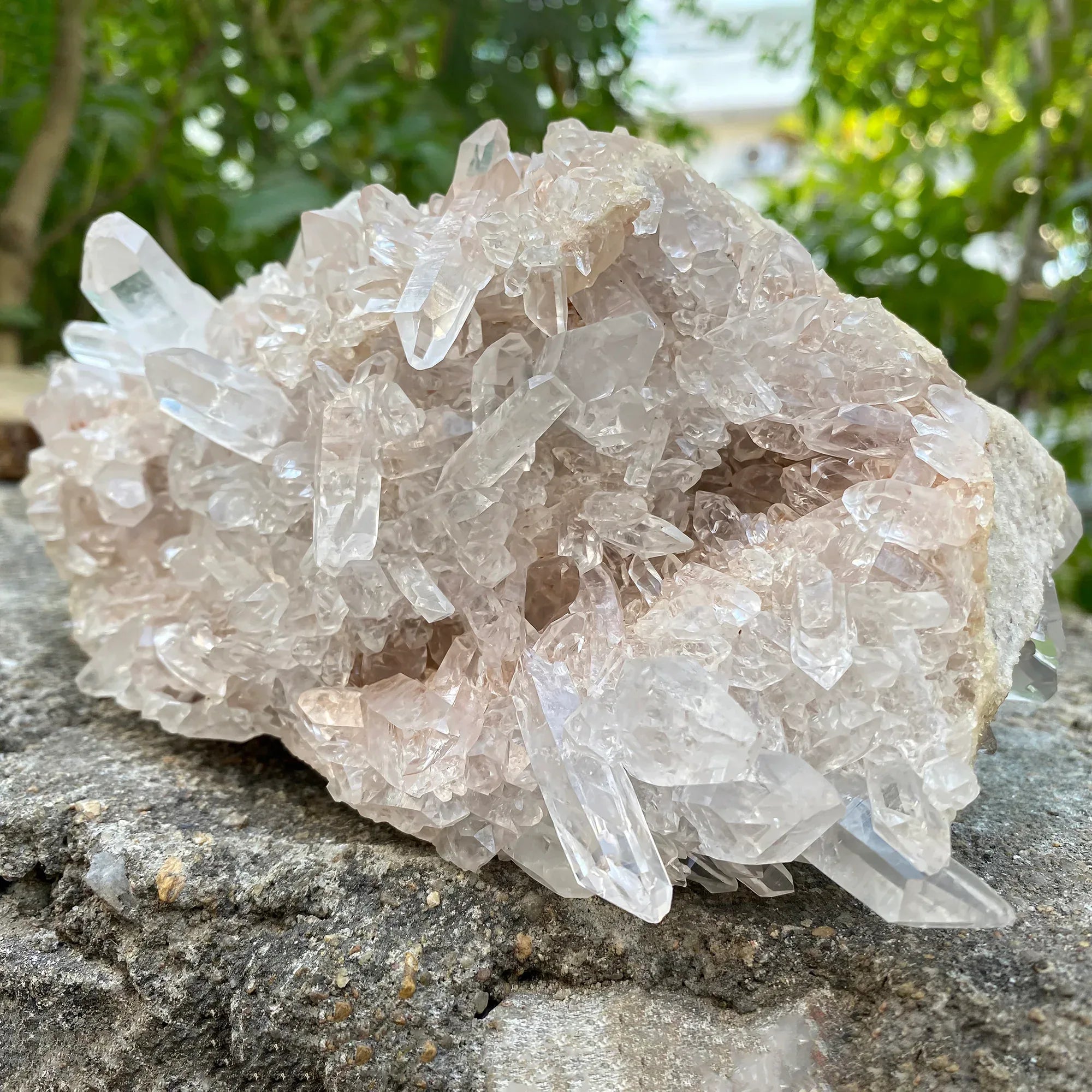 Natural Himalayan Pink Quartz Cluster 1710g Himalayan Quartz
