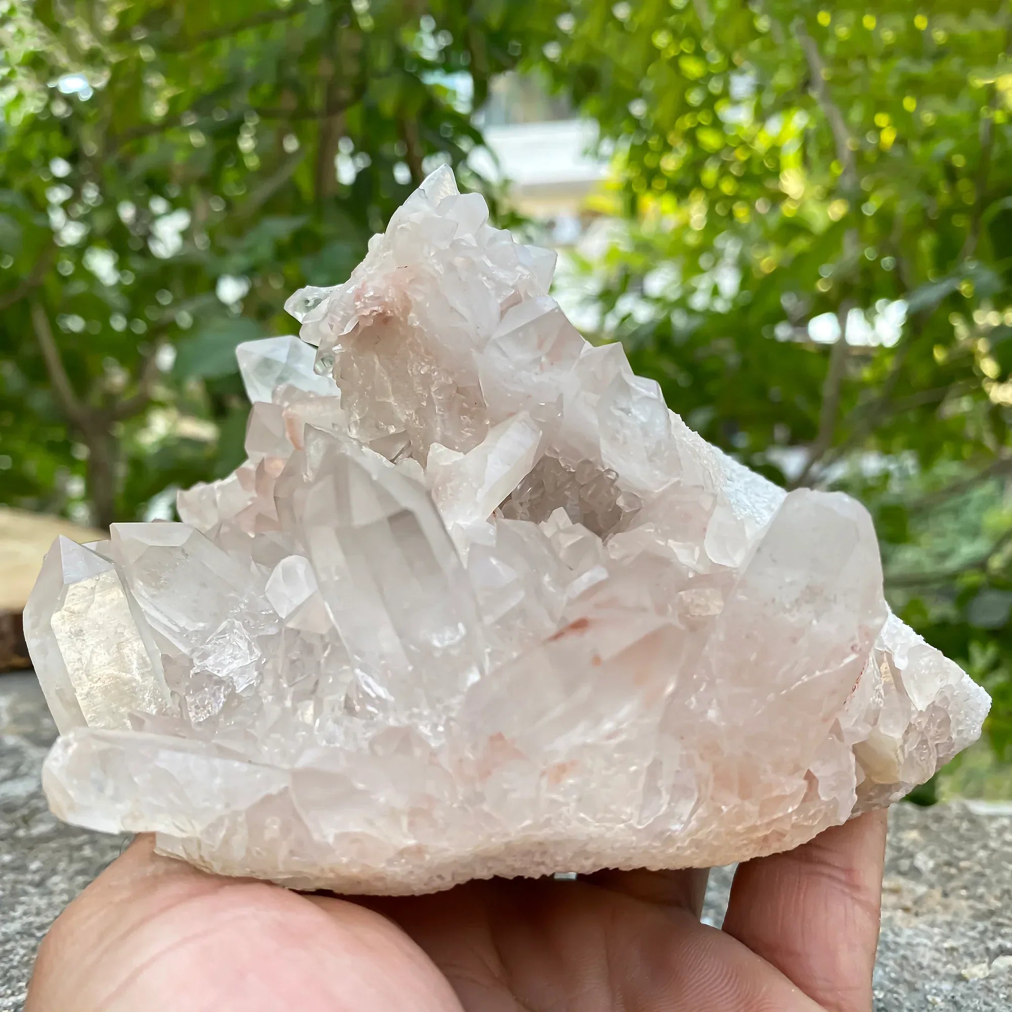 Natural Himalayan Pink Quartz Cluster 1120g Himalayan Quartz