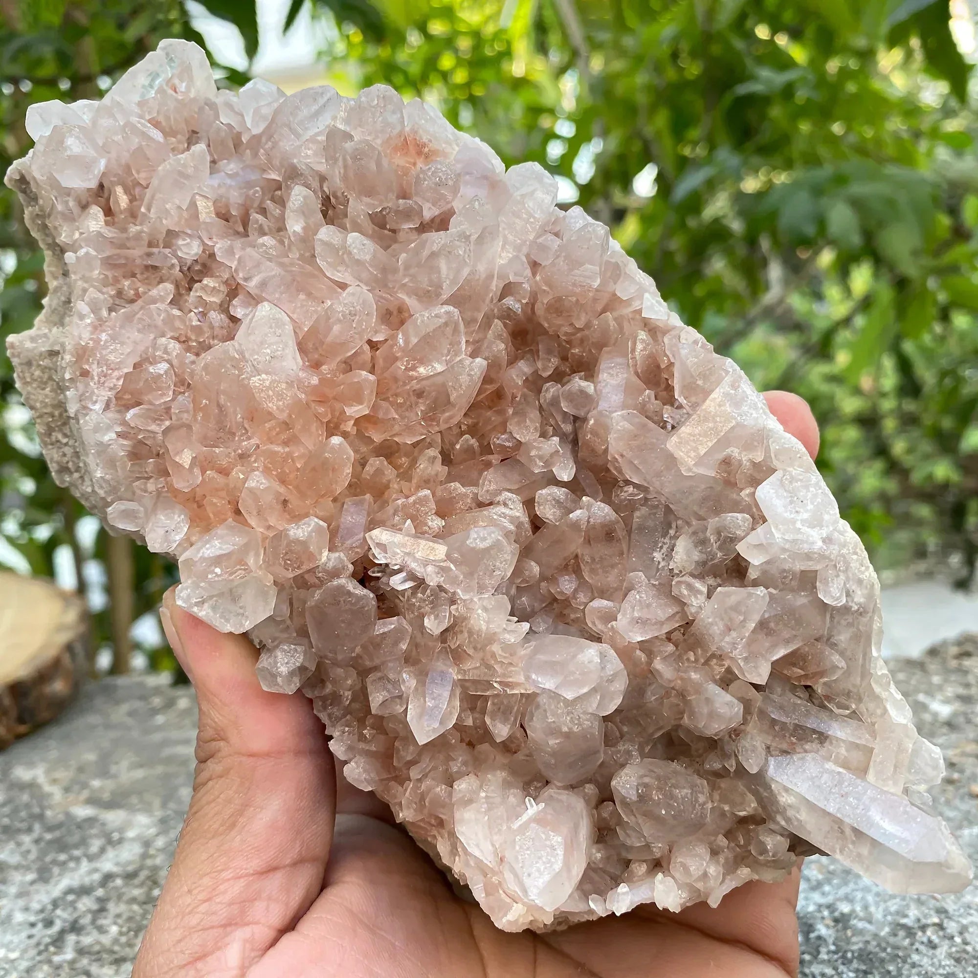 Natural Himalayan Pink Phantom Quartz Cluster 800g Himalayan Quartz