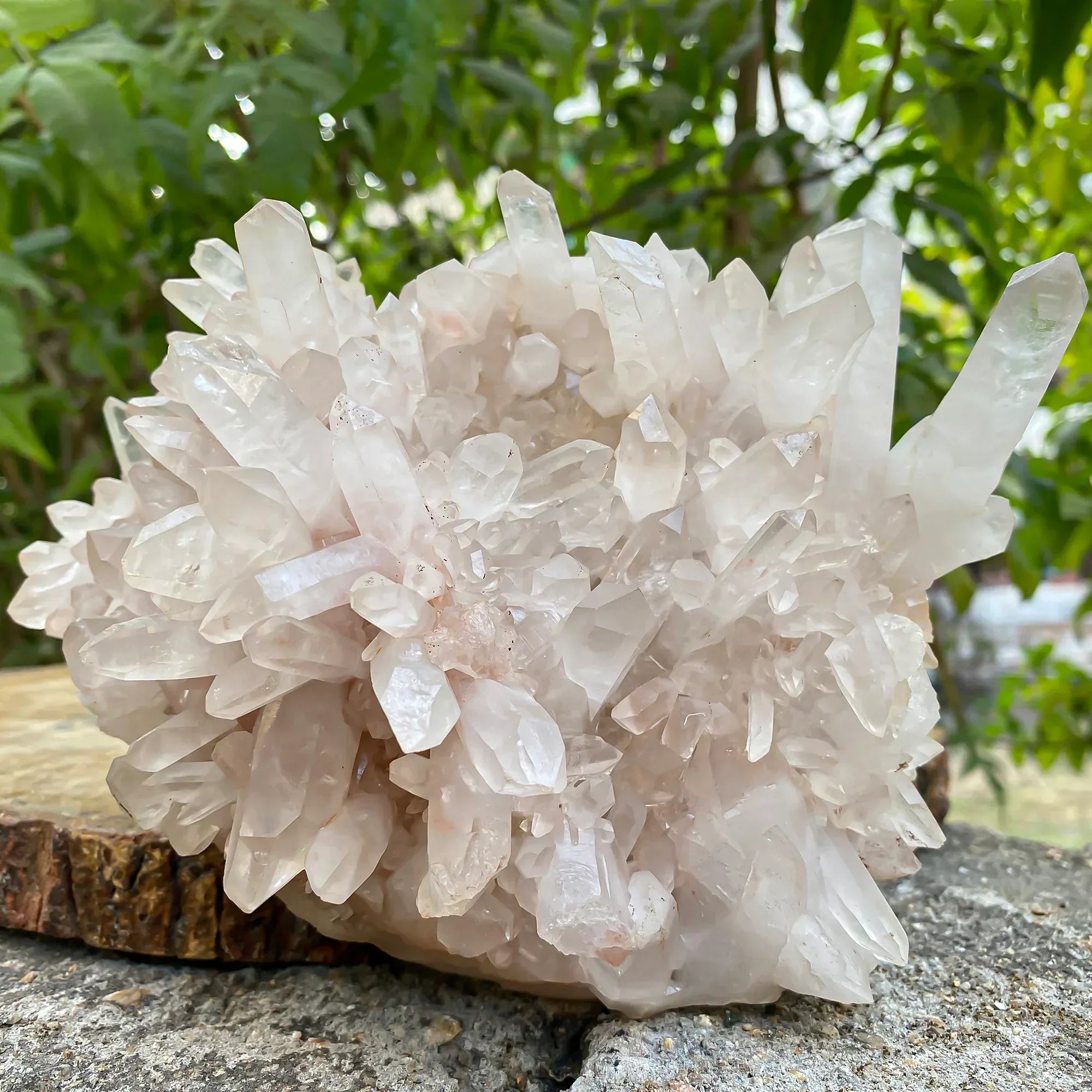 Natural Himalayan Pink Quartz Cluster Himalayan Quartz