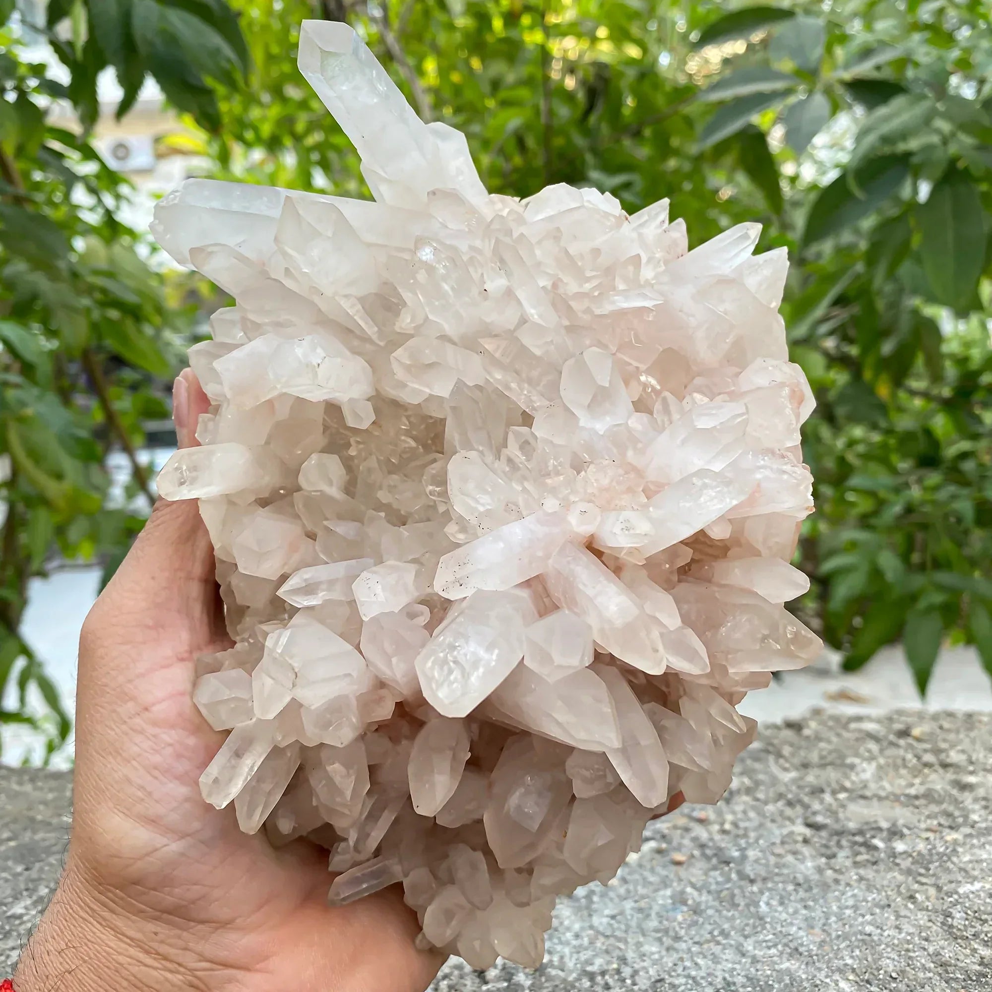 Natural Himalayan Pink Quartz Cluster Himalayan Quartz