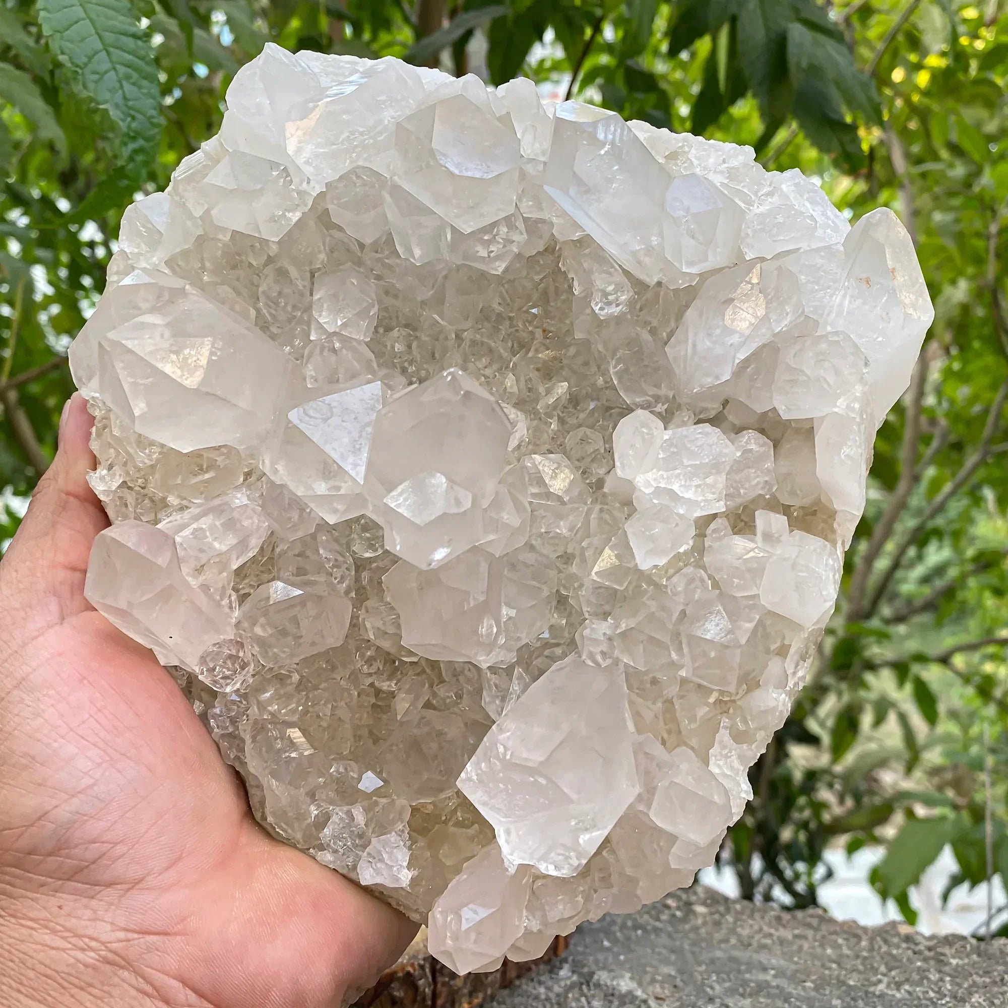 Natural Himalayan White Quartz Cluster Himalayan Quartz