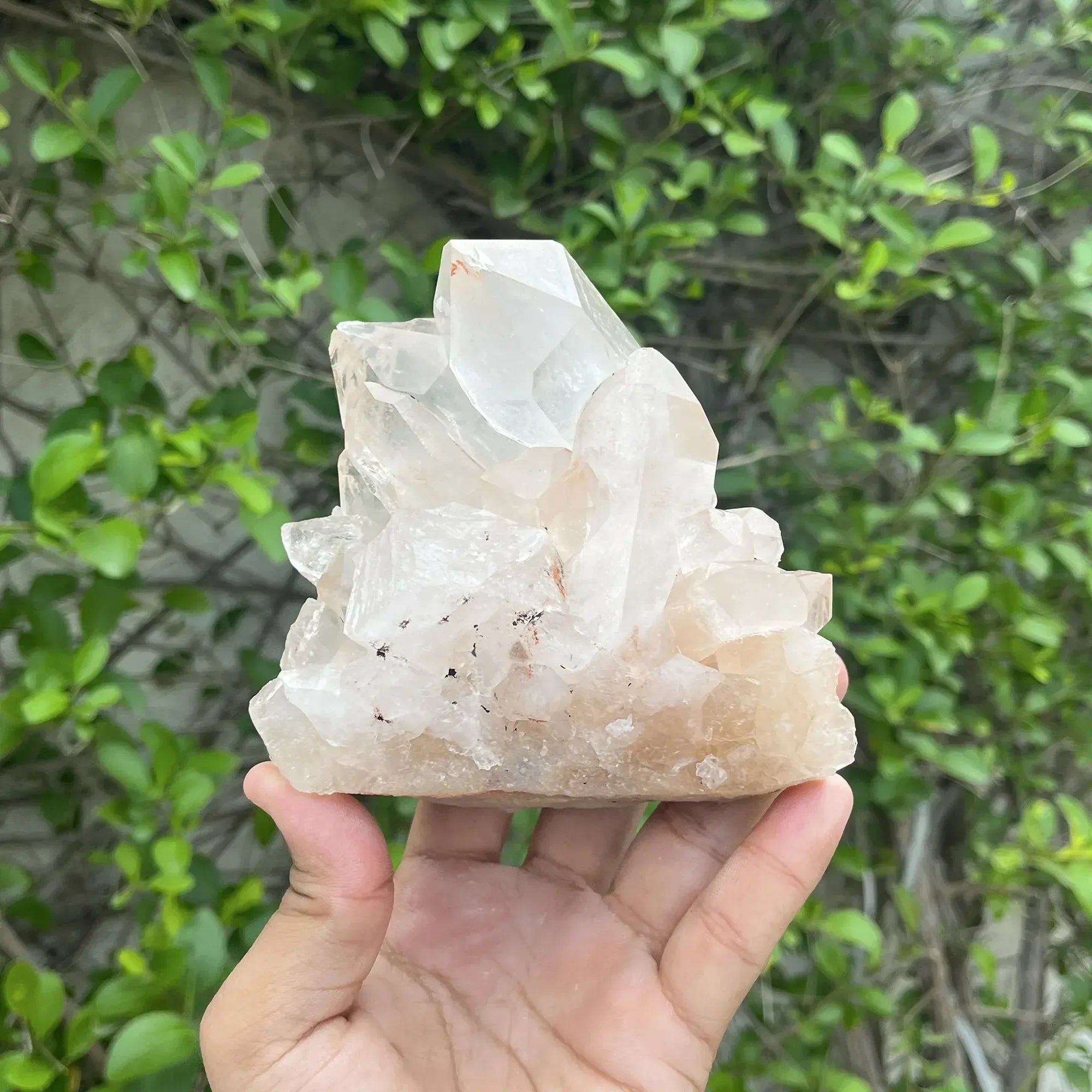 Natural Himalayan Pink Quartz Cluster 370g Himalayan Quartz