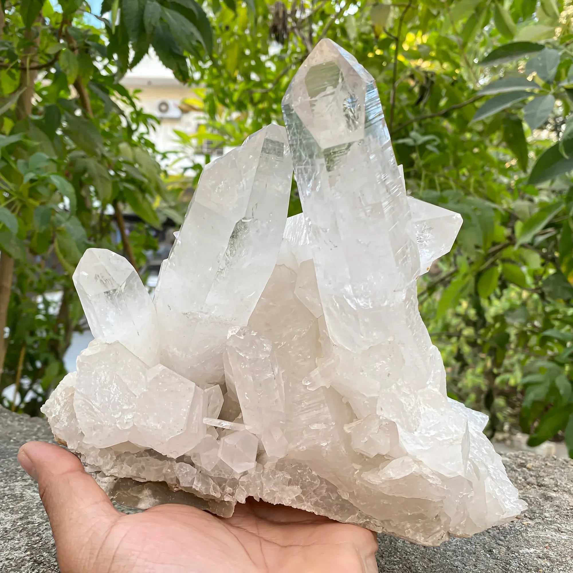 Natural Himalayan White Quartz Cluster 2985g Himalayan Quartz