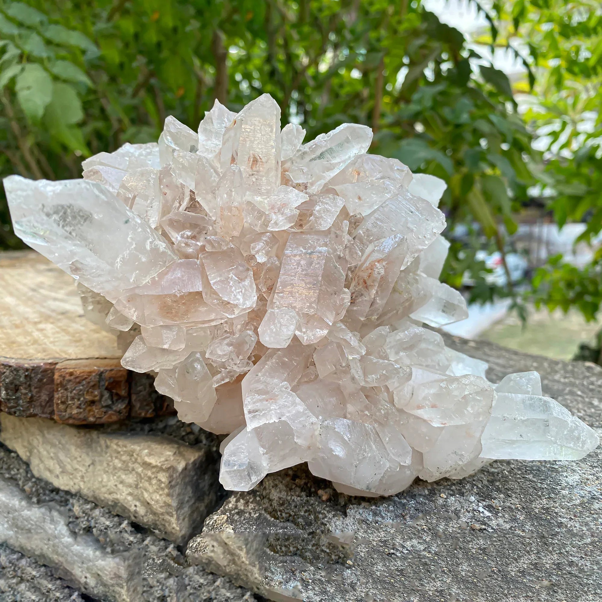 Natural Himalayan Pink Quartz Cluster 1665g Himalayan Quartz