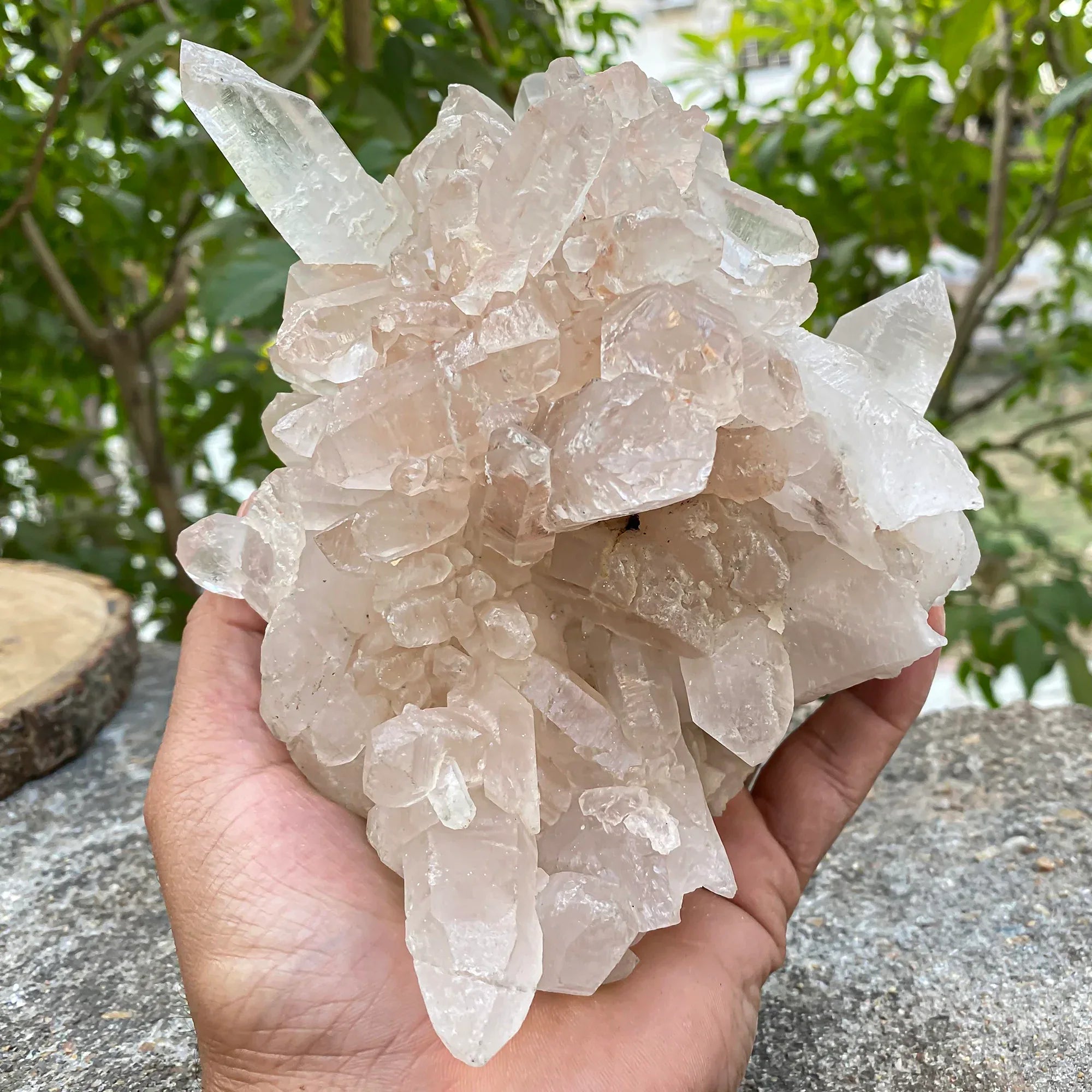 Natural Himalayan Pink Quartz Cluster 1665g Himalayan Quartz