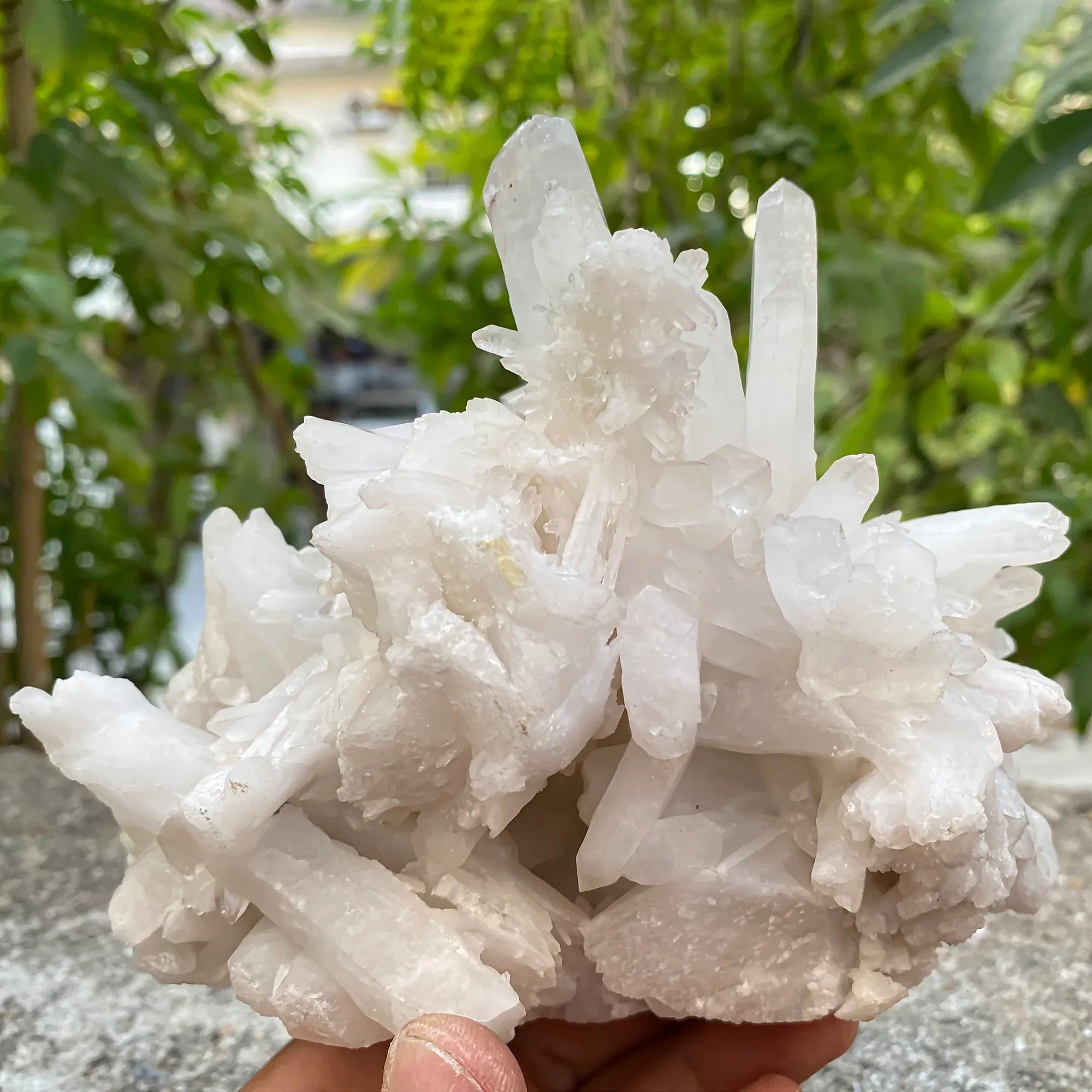 Natural Himalayan White Quartz Cluster 870g Himalayan Quartz