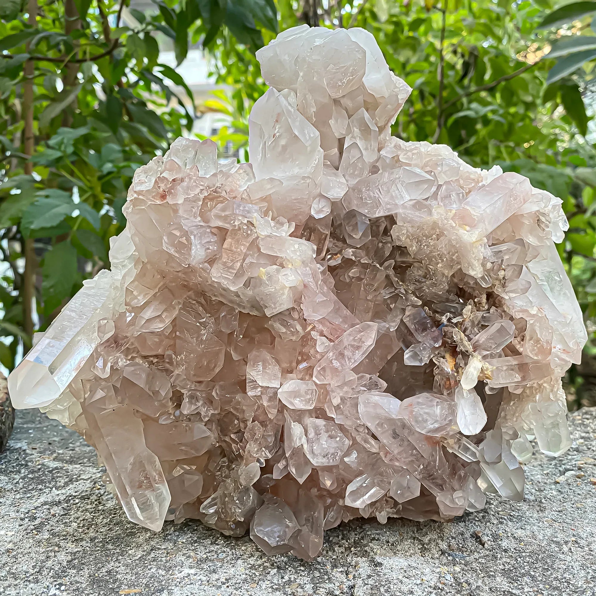Natural Himalayan Pink Quartz Cluster 2925g Himalayan Quartz