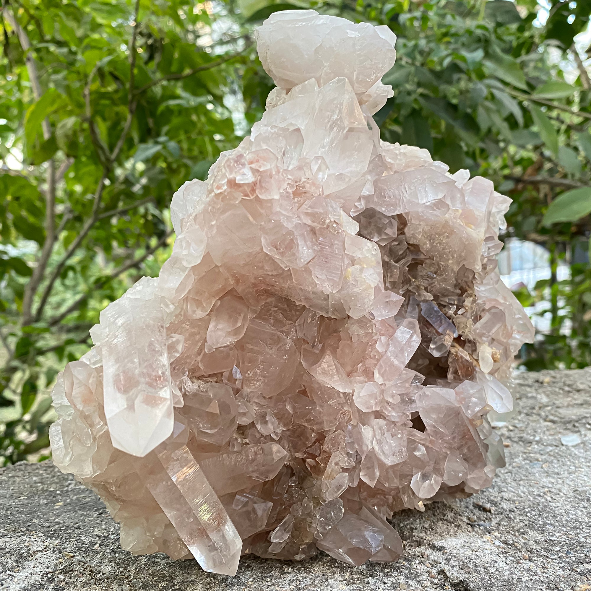 Natural Himalayan Pink Quartz Cluster 2925g