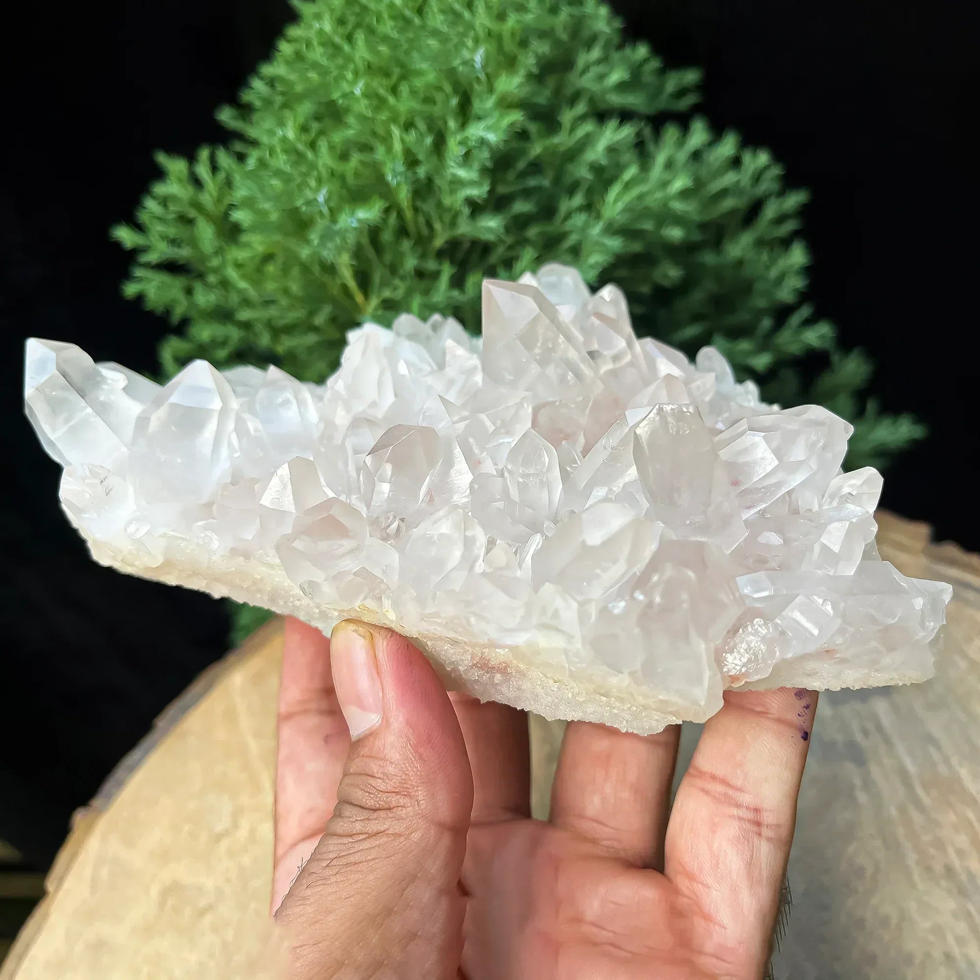 Natural Himalayan Pink Quartz Cluster 585g Healing Crystal Himalayan Quartz