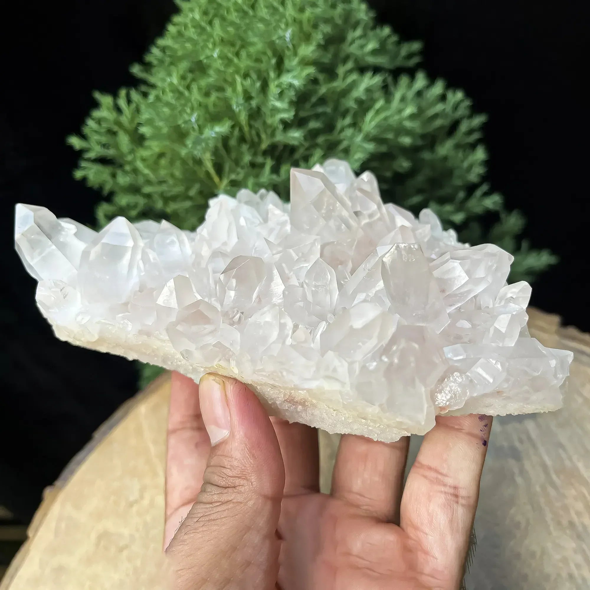 Natural Himalayan Pink Quartz Cluster 585g Healing Crystal Himalayan Quartz