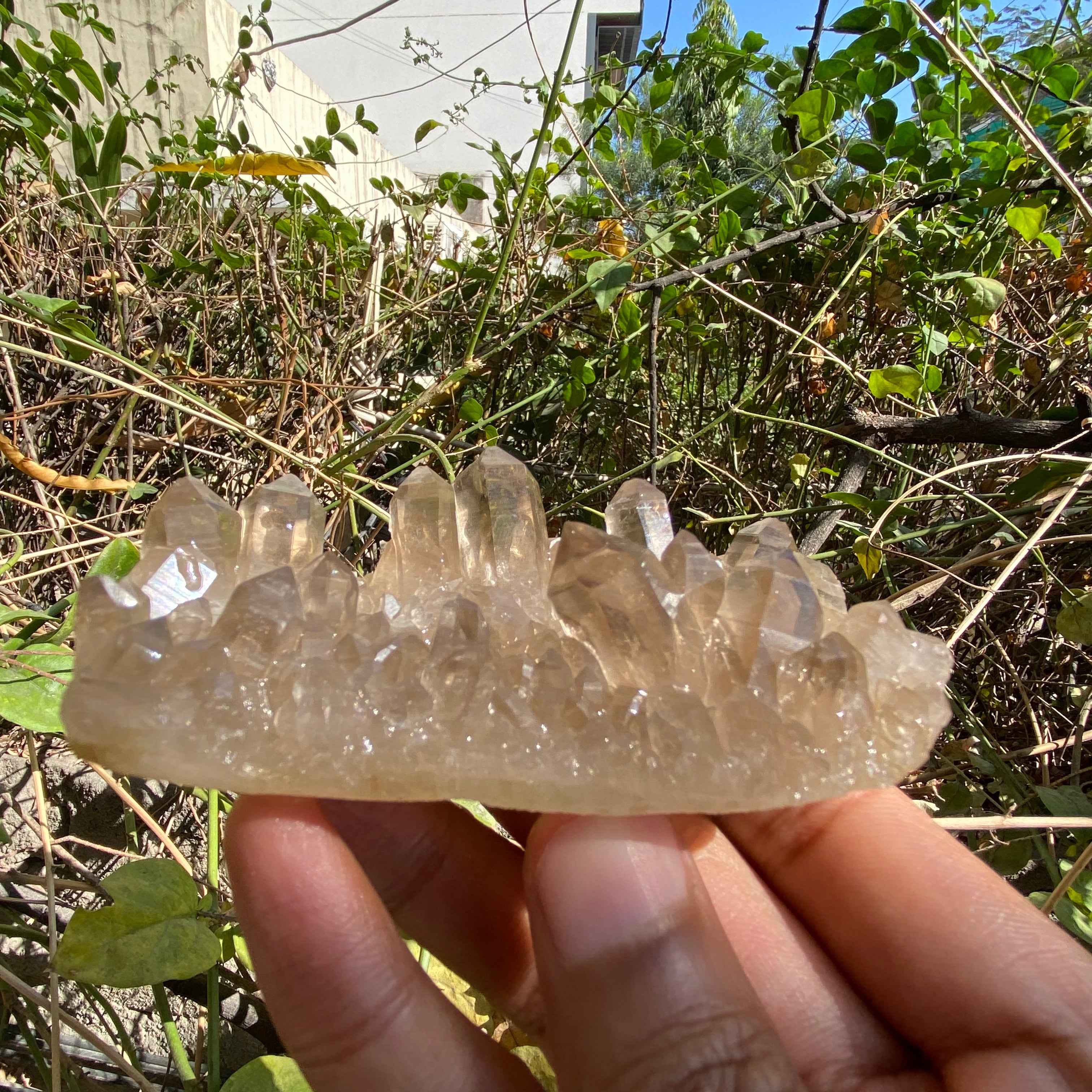 Himalayan Smoky Quartz Cluster 150g