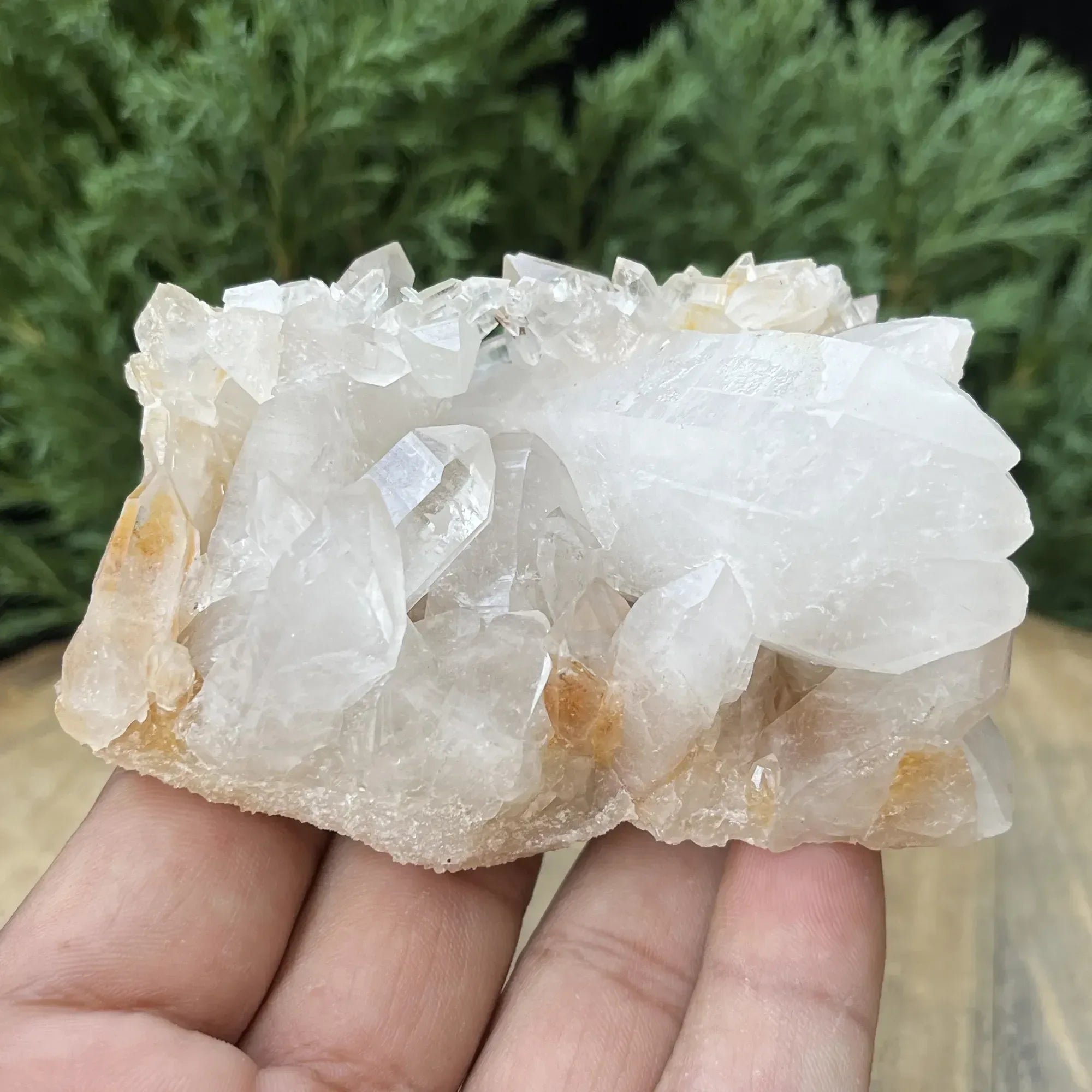 Natural Himalayan White + Yellow Quartz Cluster 320g – Healing Crystal Himalayan Quartz
