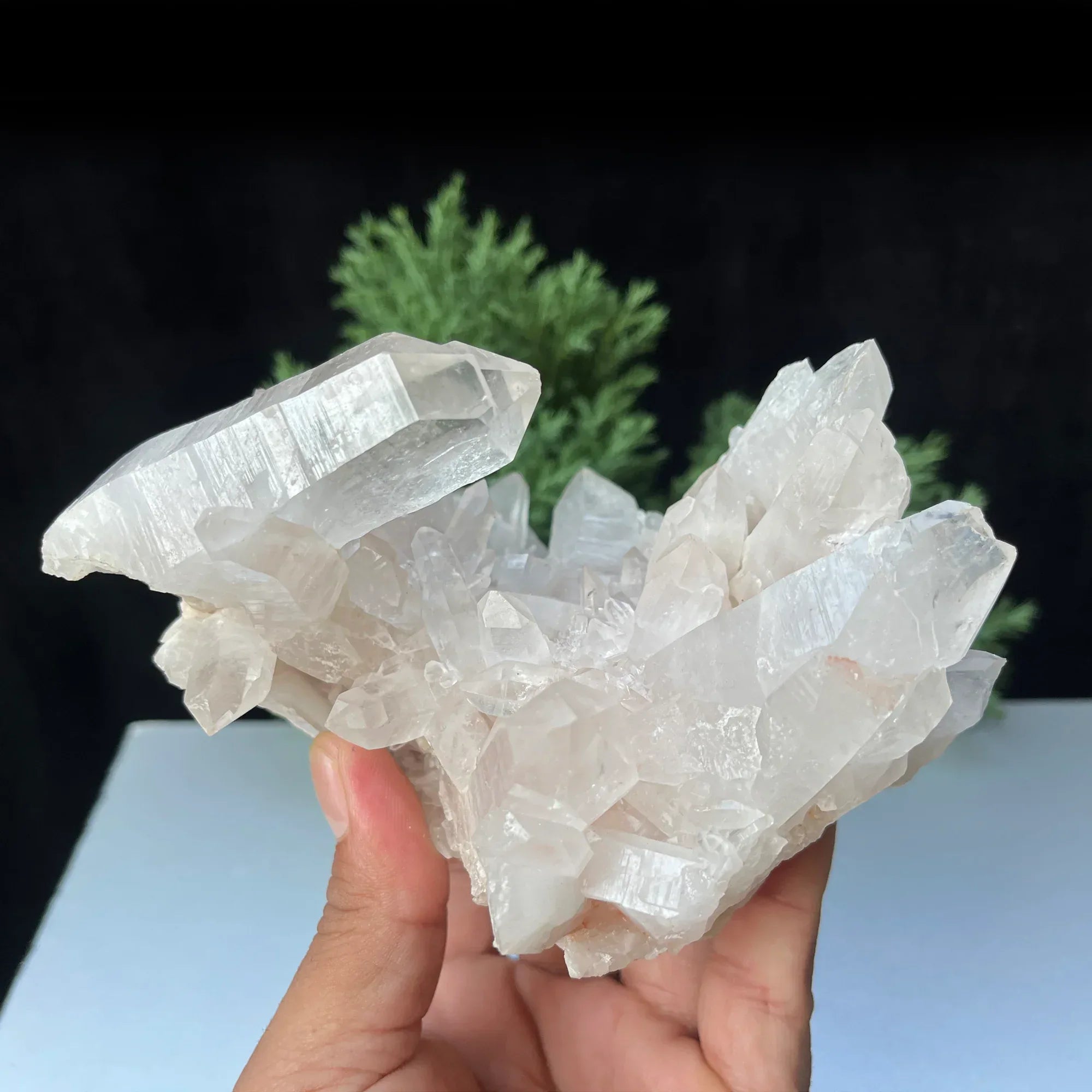 Natural Himalayan White + Pink Quartz Cluster 885g Himalayan Quartz