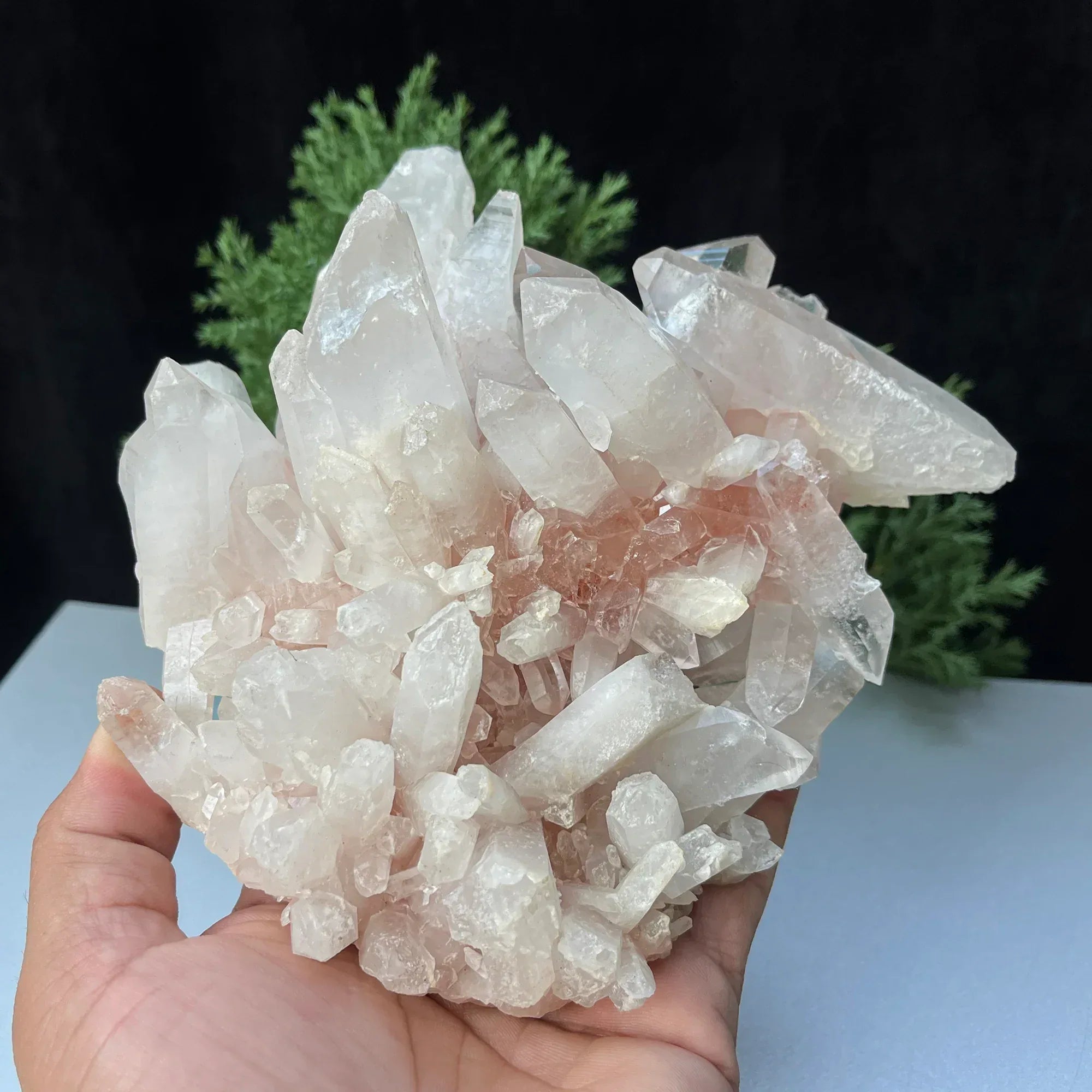 Natural Himalayan Pink Quartz Cluster 980g Himalayan Quartz