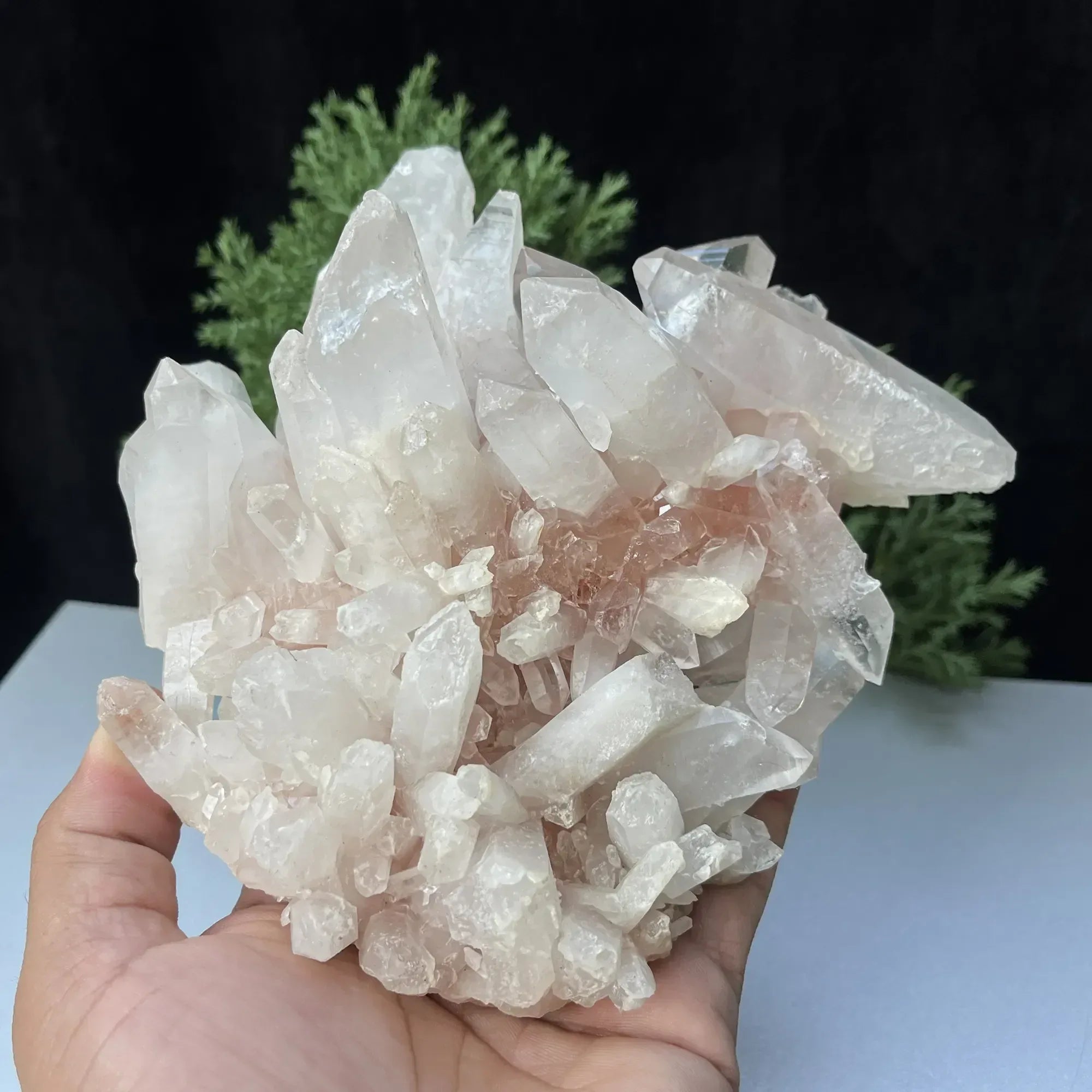 Natural Himalayan Pink Quartz Cluster 980g Himalayan Quartz