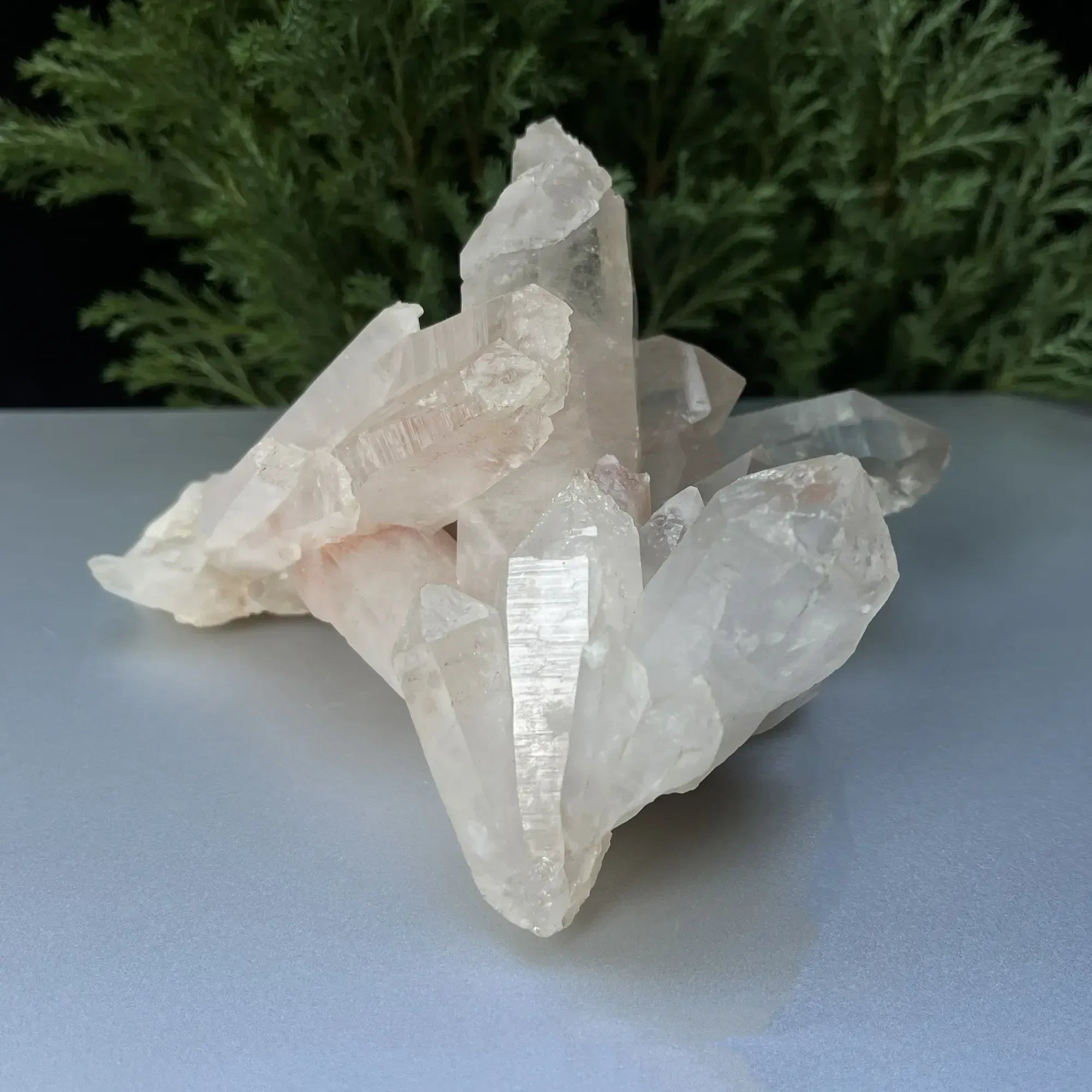 Natural Himalayan White + Pink Quartz Cluster 605g Himalayan Quartz