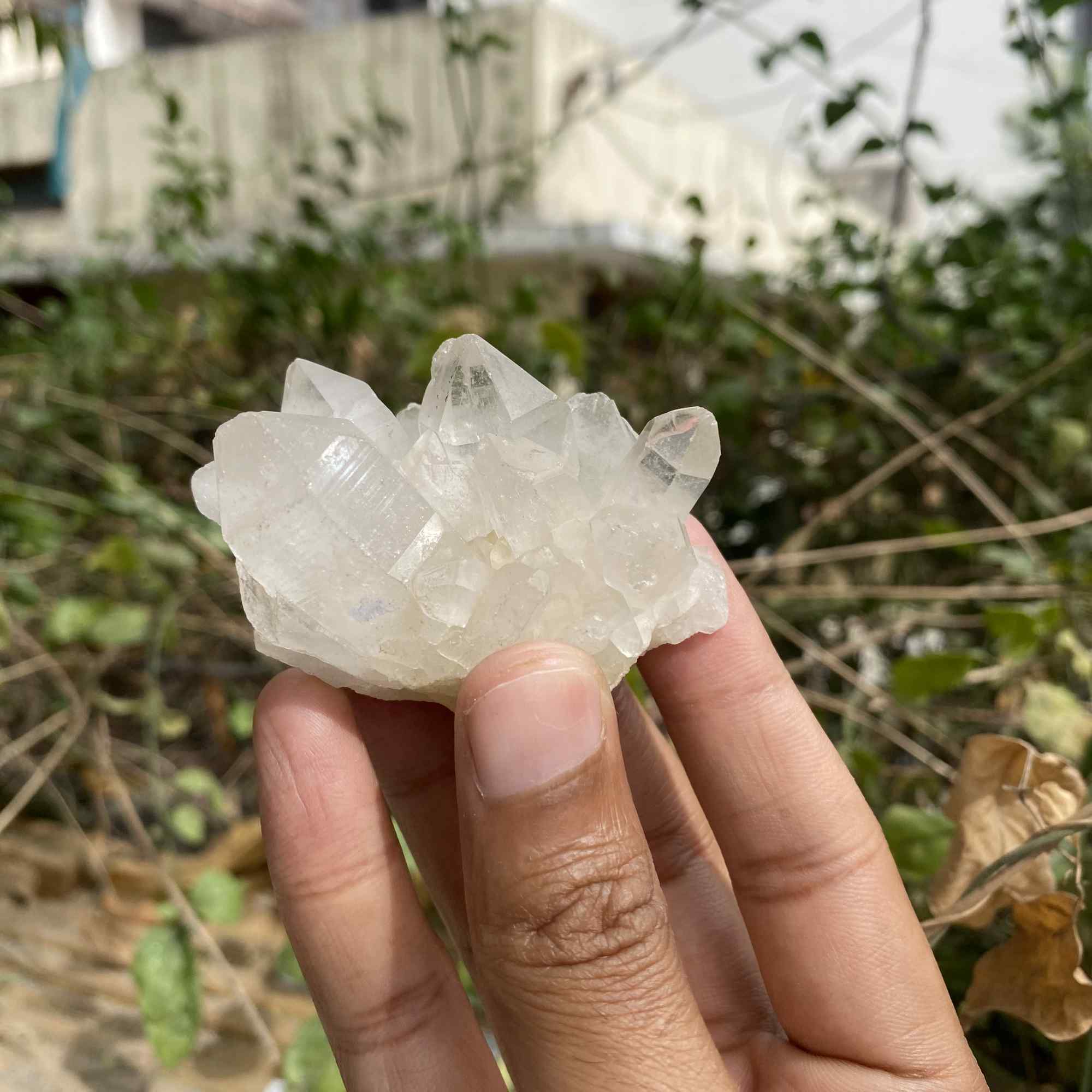 White and Pink Quartz Crystal Cluster 85g Natural Himalayan Raw Healing Stone Mineral Specimen