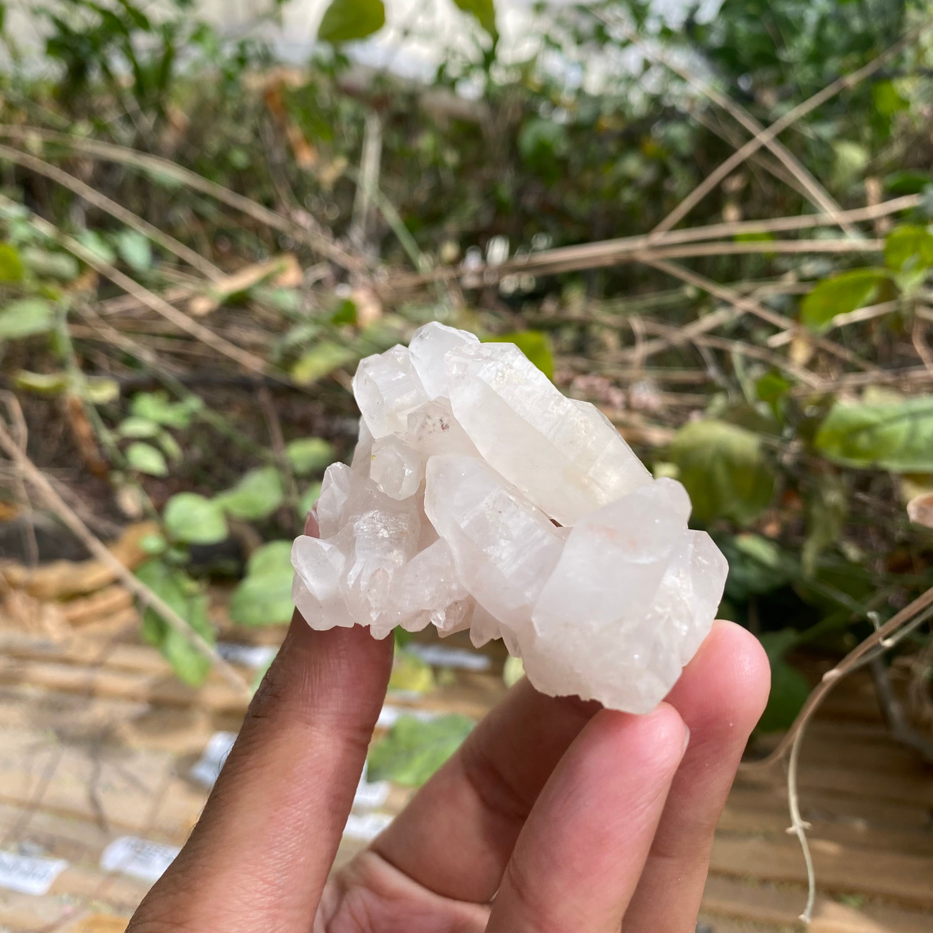 Natural Himalayan White + Pink Quartz Cluster 90g – Healing Crystal