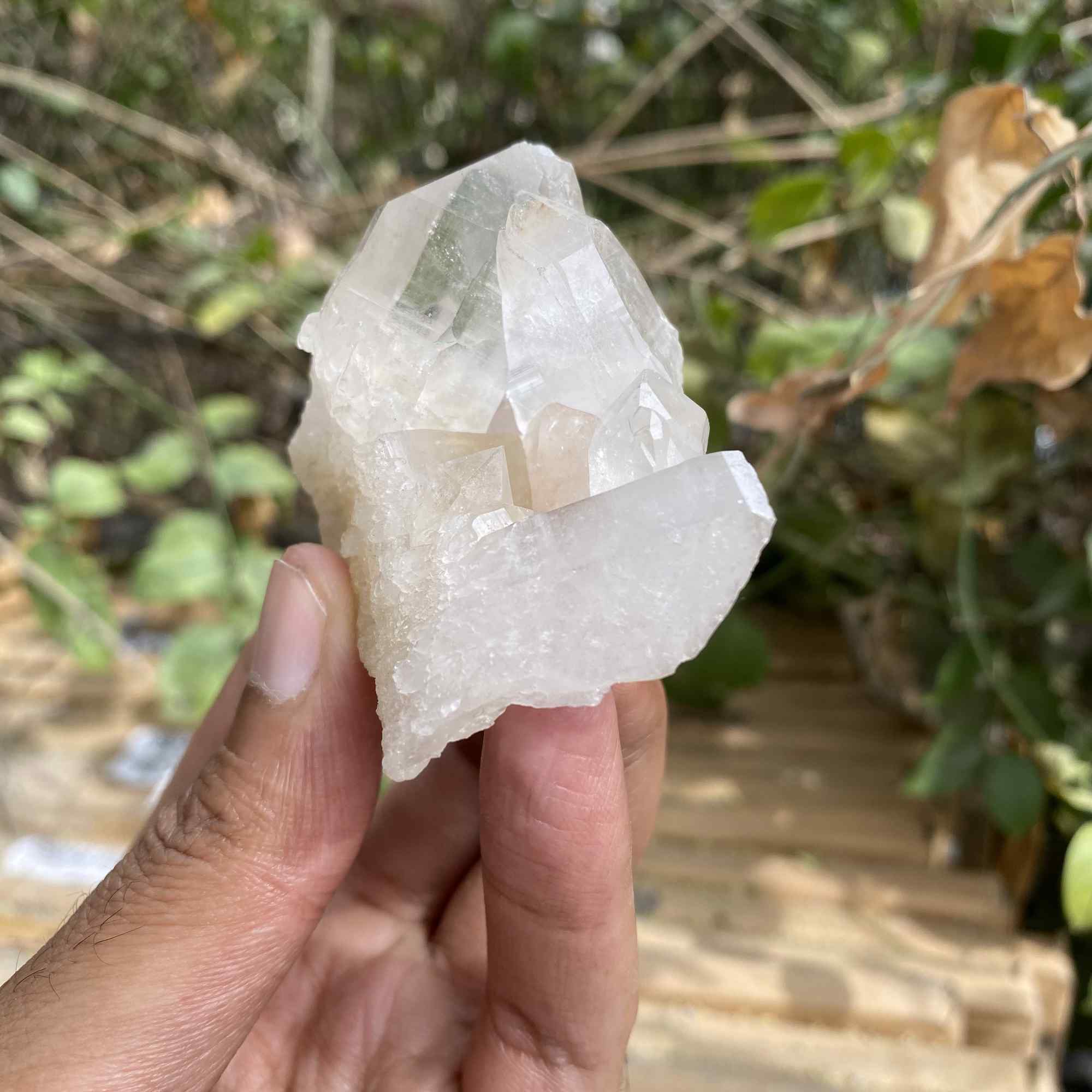 Pink Himalayan Samadhi Quartz Crystal Cluster Raw Healing Collector Display Stone