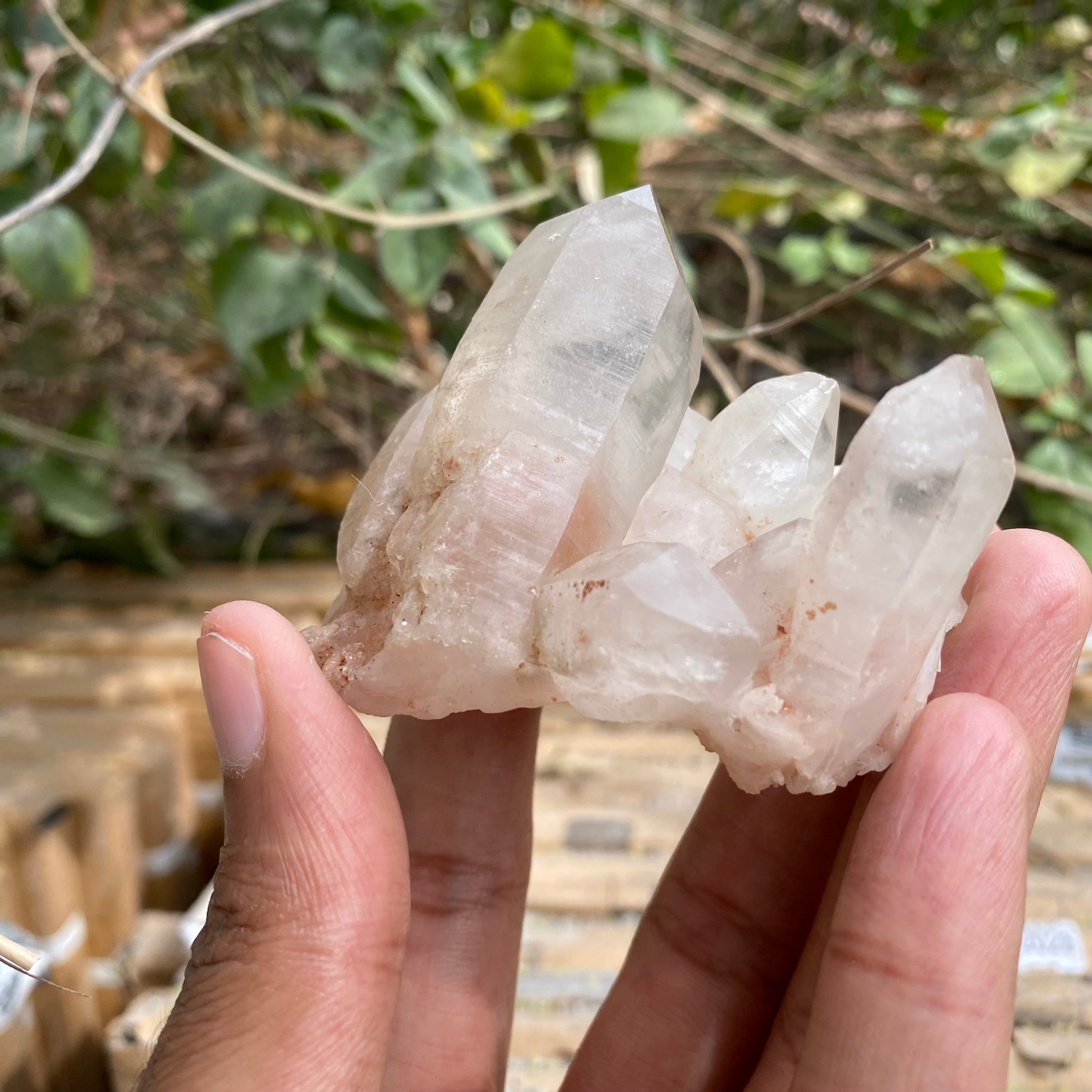 White and Pink Quartz Crystal Cluster 100g Natural Himalayan Raw Healing Stone Mineral Specimen Décor