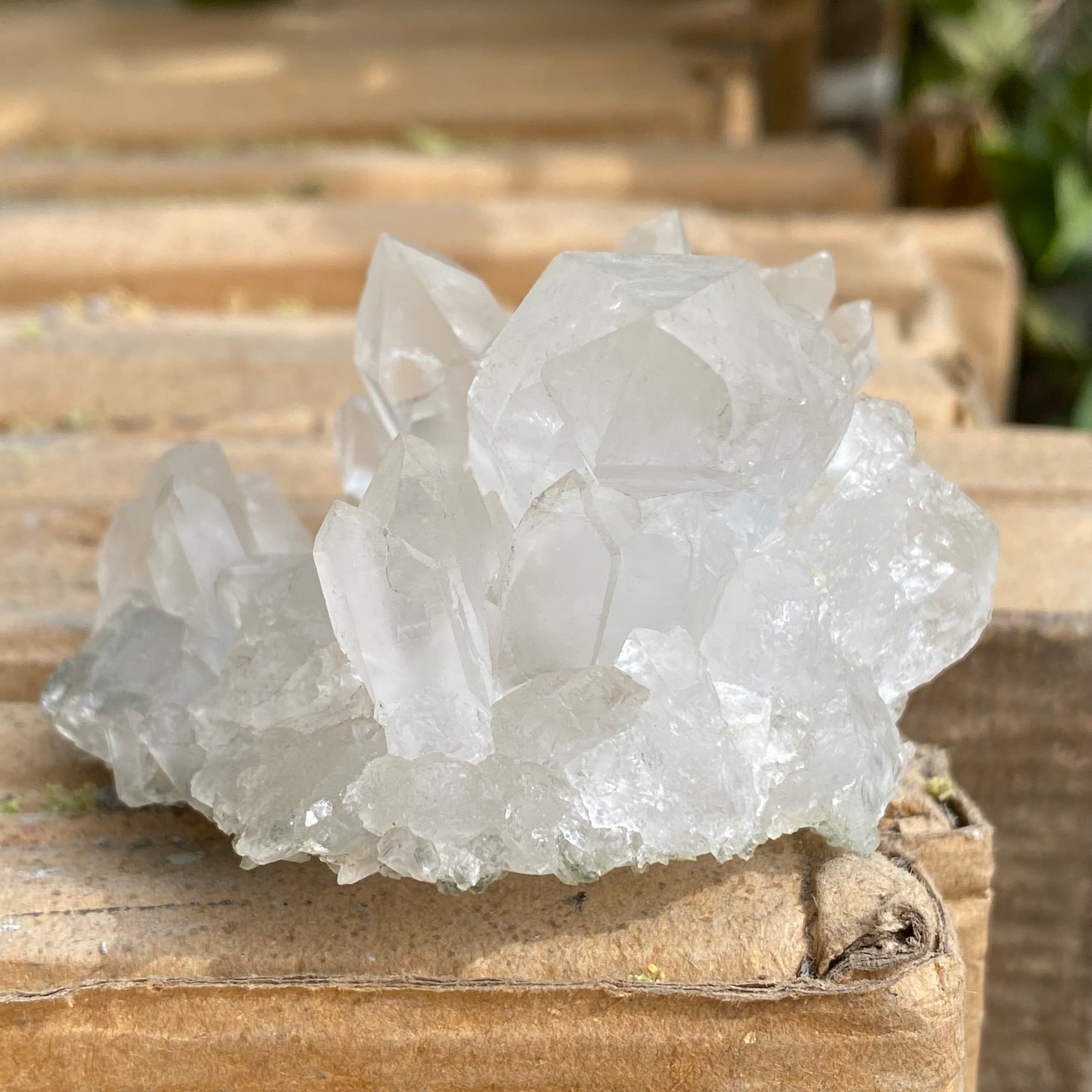 White Premium Samadhi Quartz Crystal Cluster Himalayan Natural Collector Piece