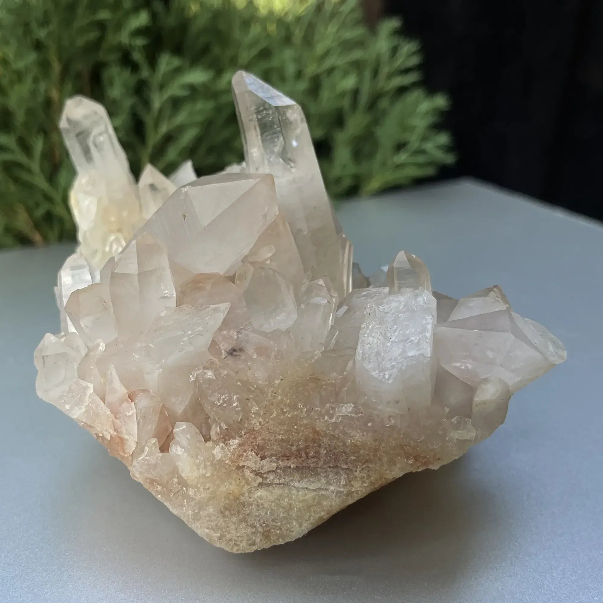 Natural Himalayan White Quartz Cluster Himalayan Quartz