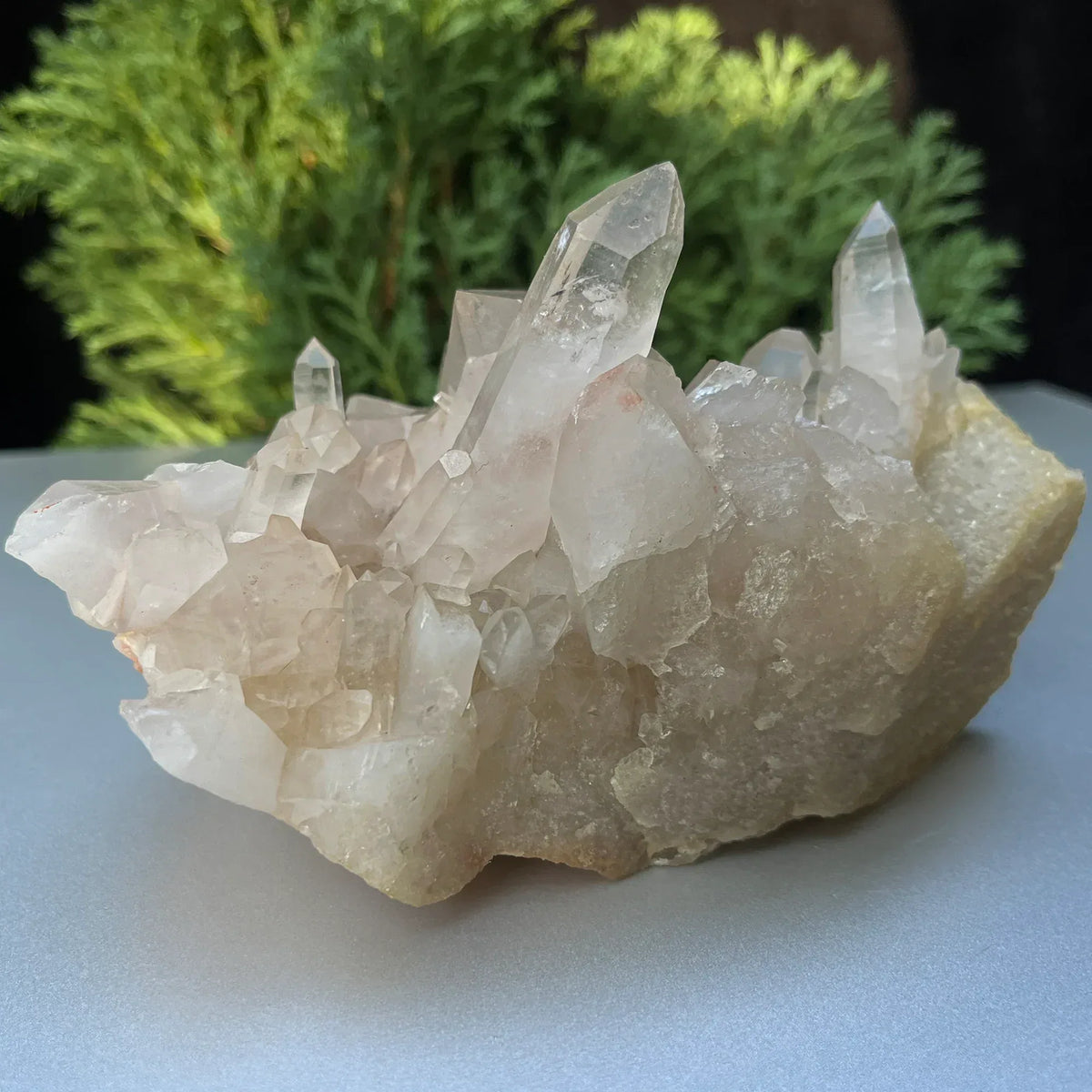 Natural Himalayan White Quartz Cluster Himalayan Quartz