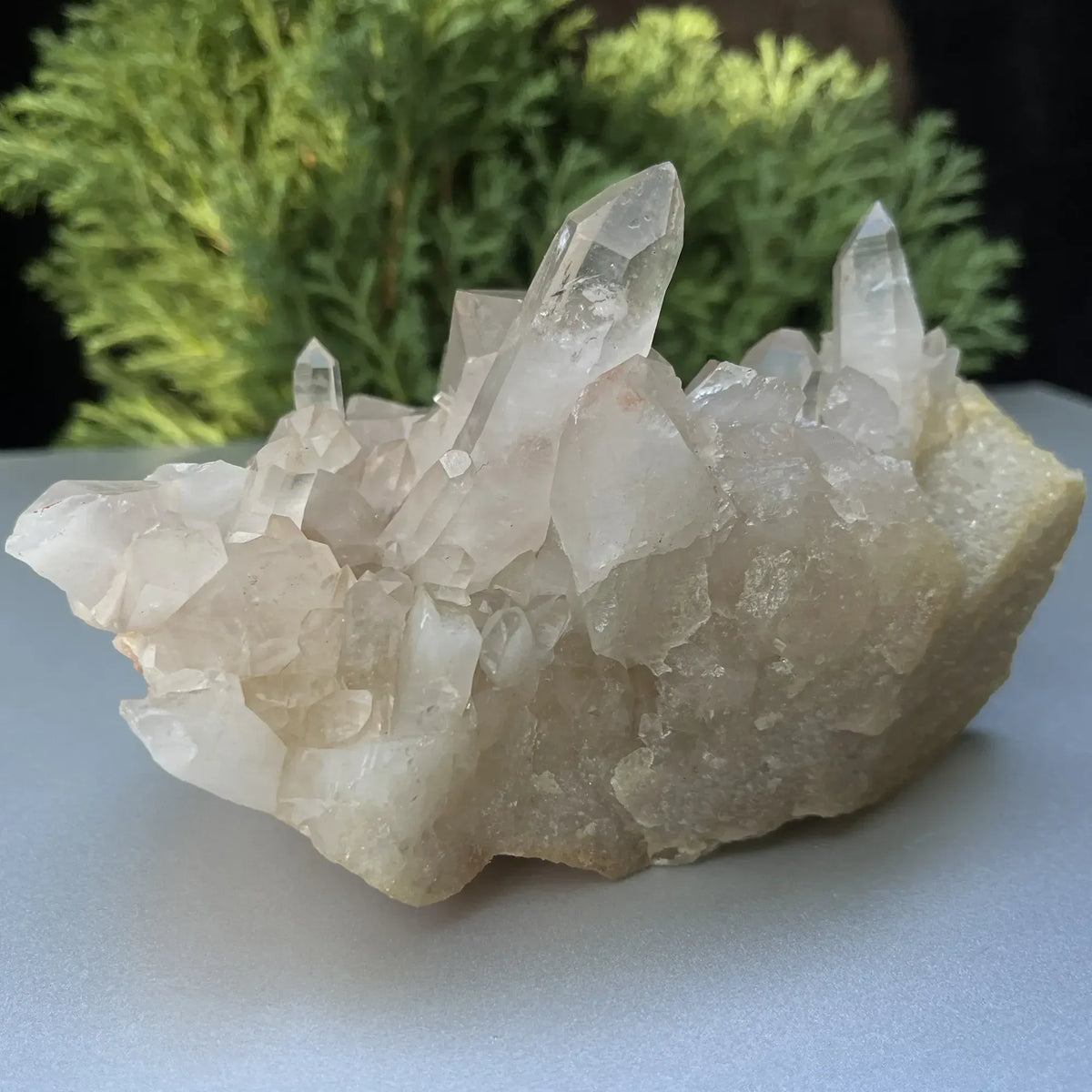 Natural Himalayan White Quartz Cluster Himalayan Quartz