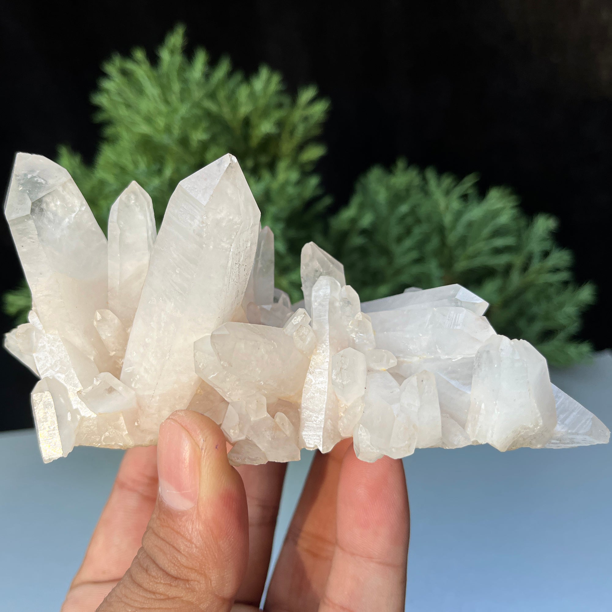 Authentic Himalayan Quartz crystal cluster from Himalya Quartz, raw white quartz with natural formations for healing and collector use.