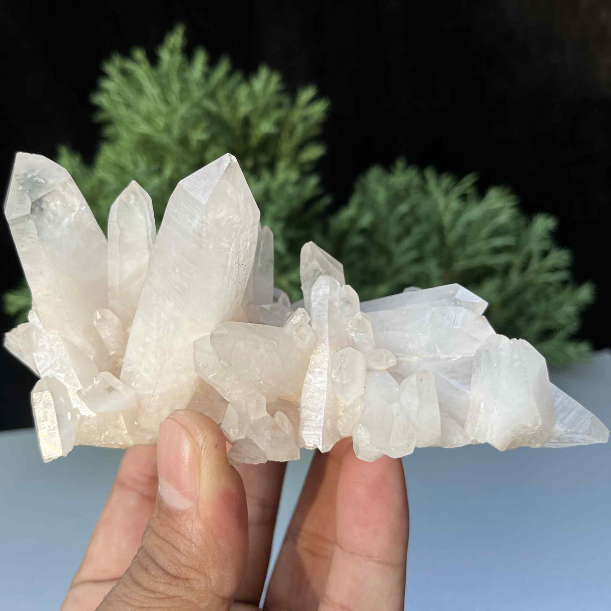 Authentic Himalayan Quartz crystal cluster from Himalya Quartz, raw white quartz with natural formations for healing and collector use.