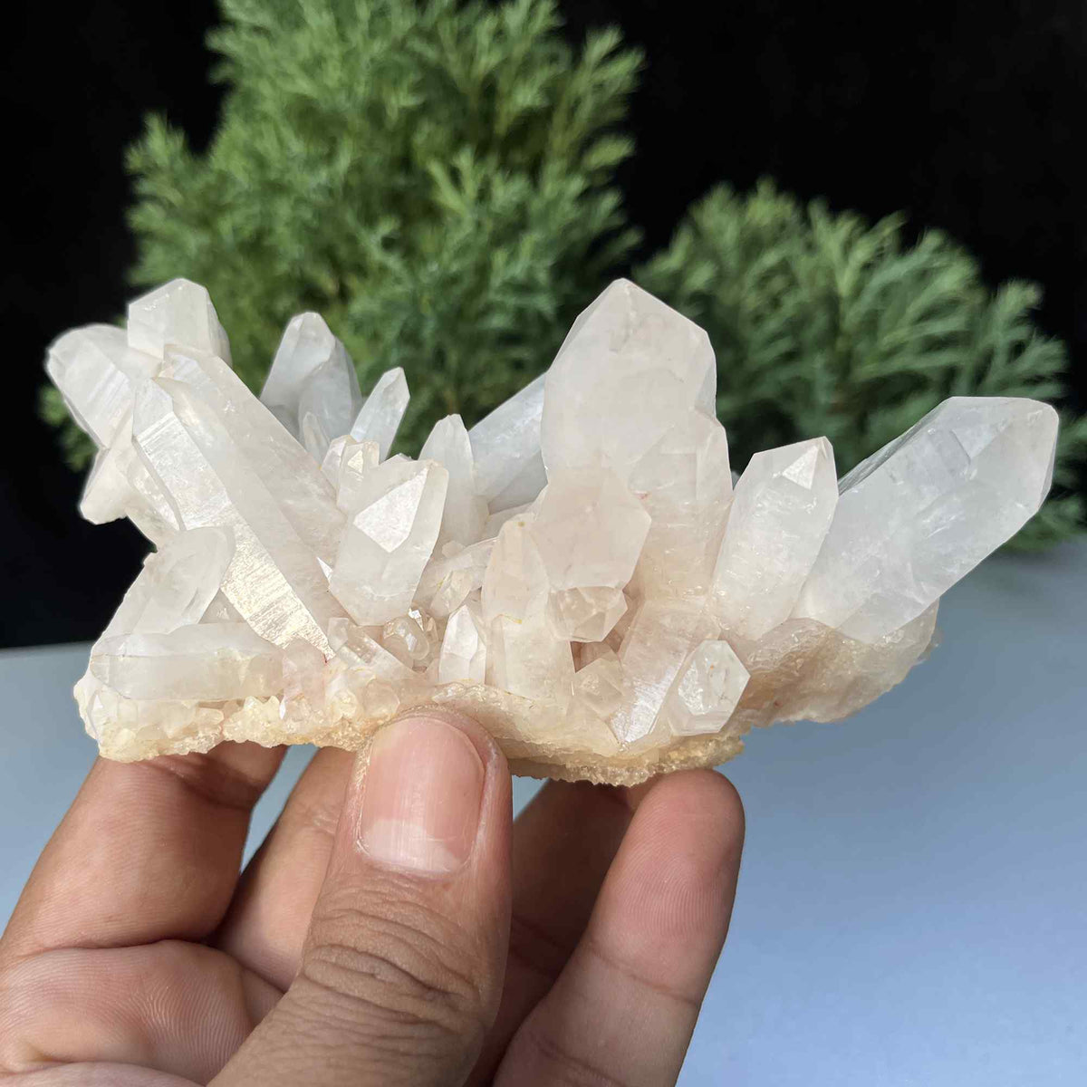 Authentic white Himalayan Quartz crystal cluster with raw, natural appearance, ideal for healing and collector display.