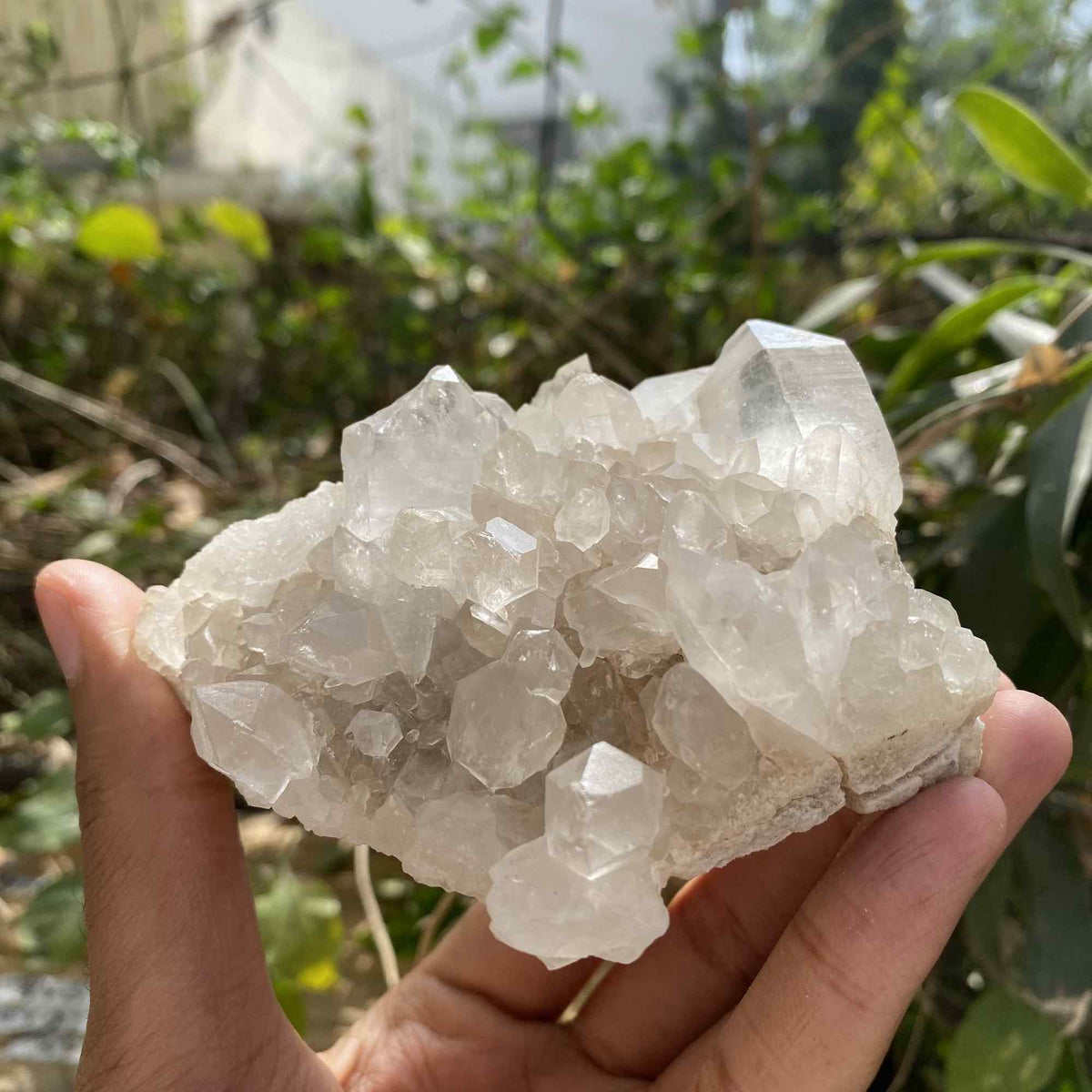 White Quartz Natural Himalayan Raw Cluster Display Collector Specimen