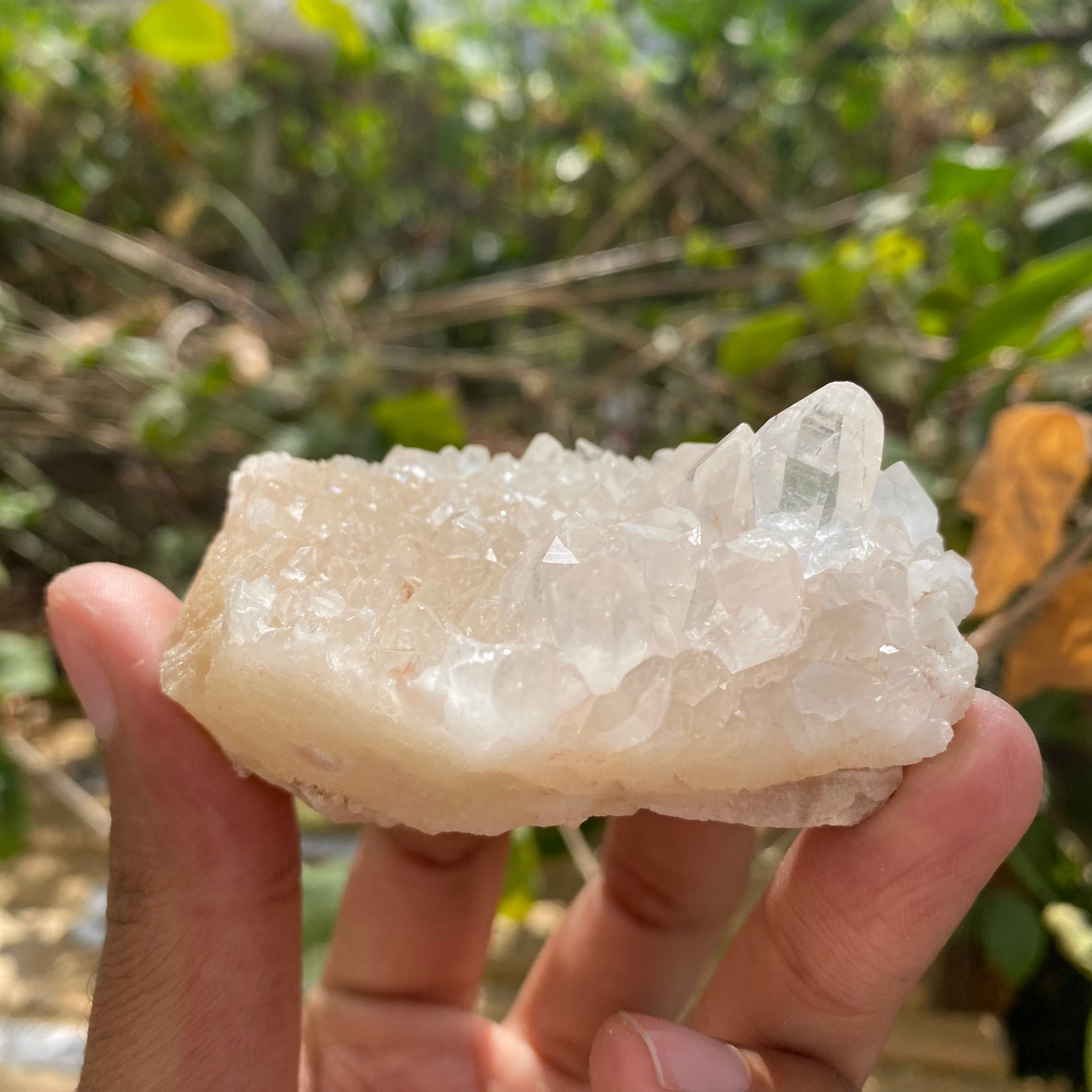 Pink Premium Himalayan Quartz Crystal Cluster Raw Healing Decor Collector Piece