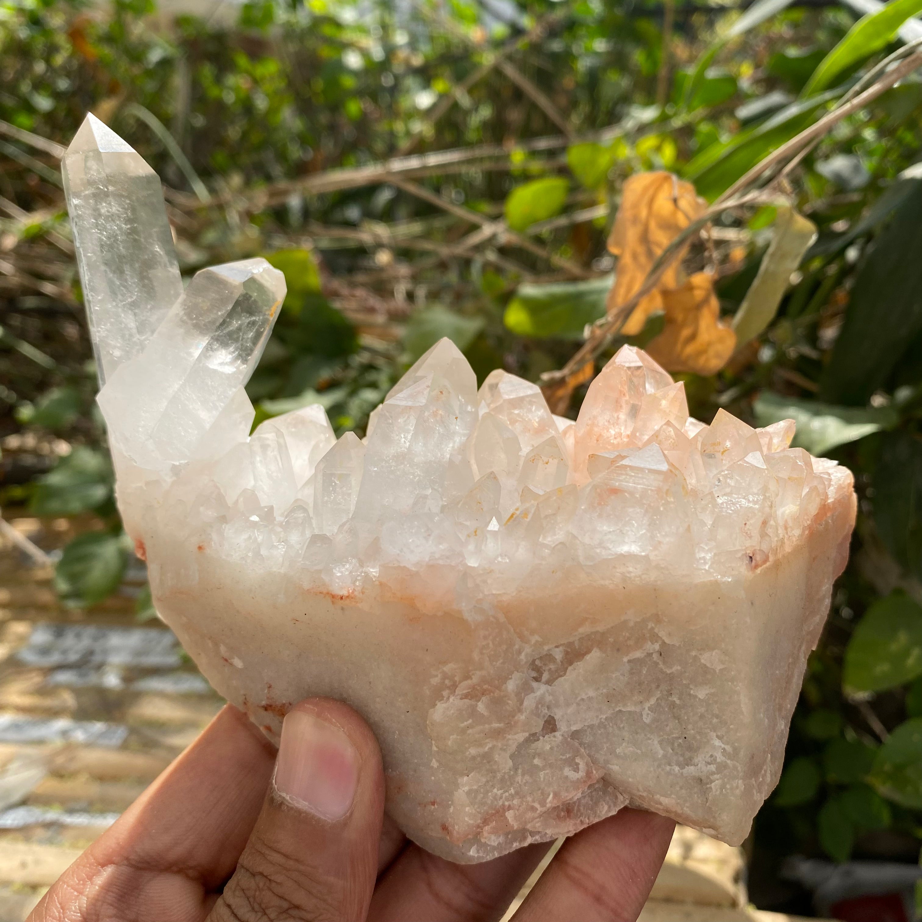 Natural Himalayan Pink Quartz Cluster 510g – Heart-Healing Crystal