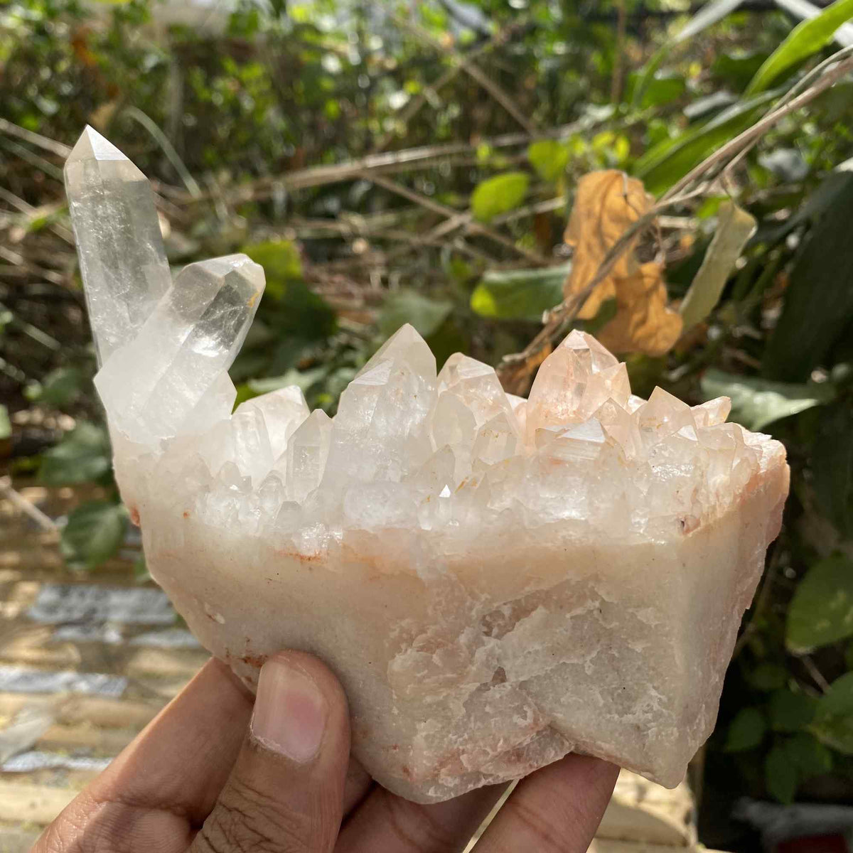 Pink Himalayan Quartz Natural Cluster 510g Raw Mineral Display Piece